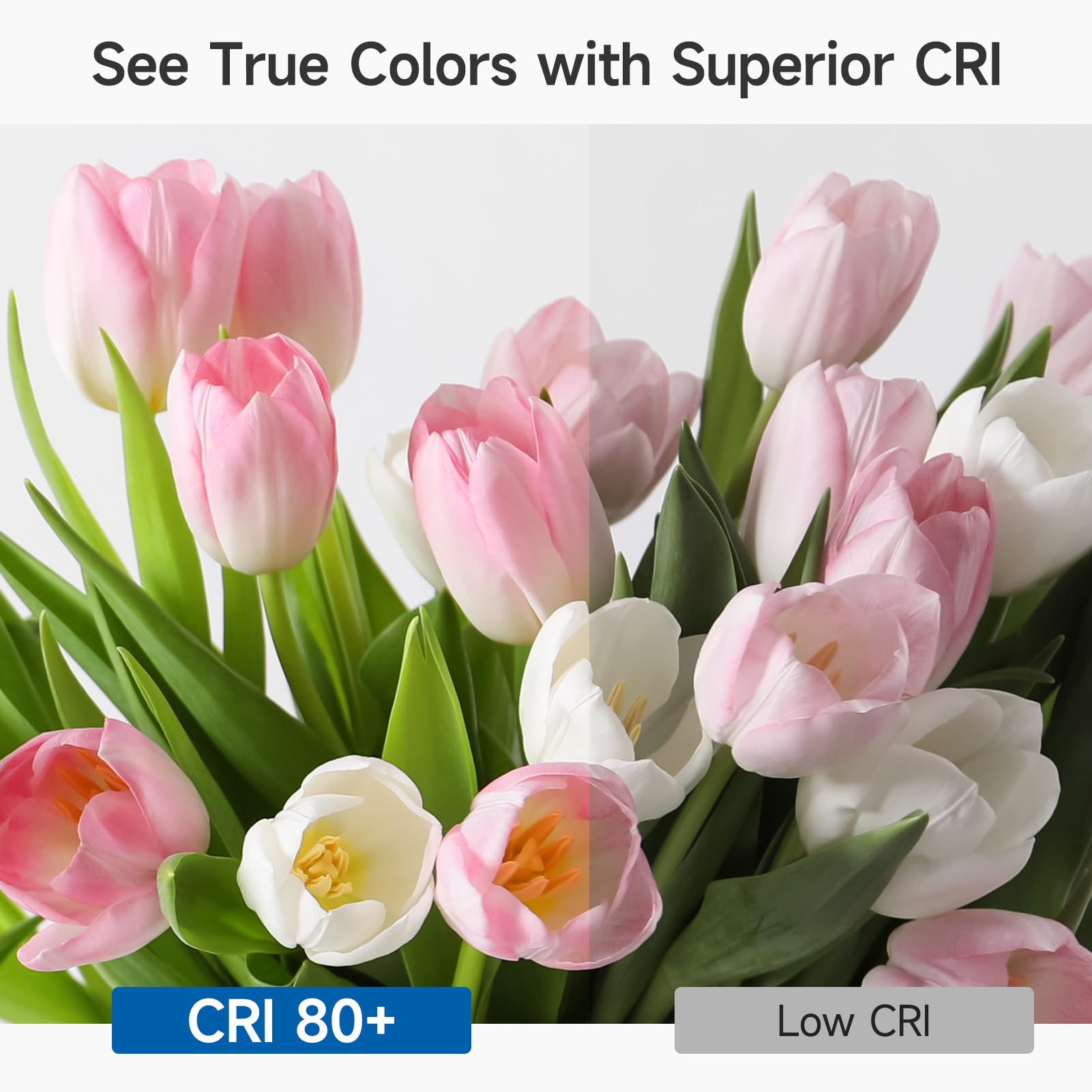 Shinestar 6-Pack Ceiling Fan Light Bulbs, Small Base, 120V 40W Equivalent, 5000K Daylight, E12 Led Candelabra Bulb, A15 Shape, N