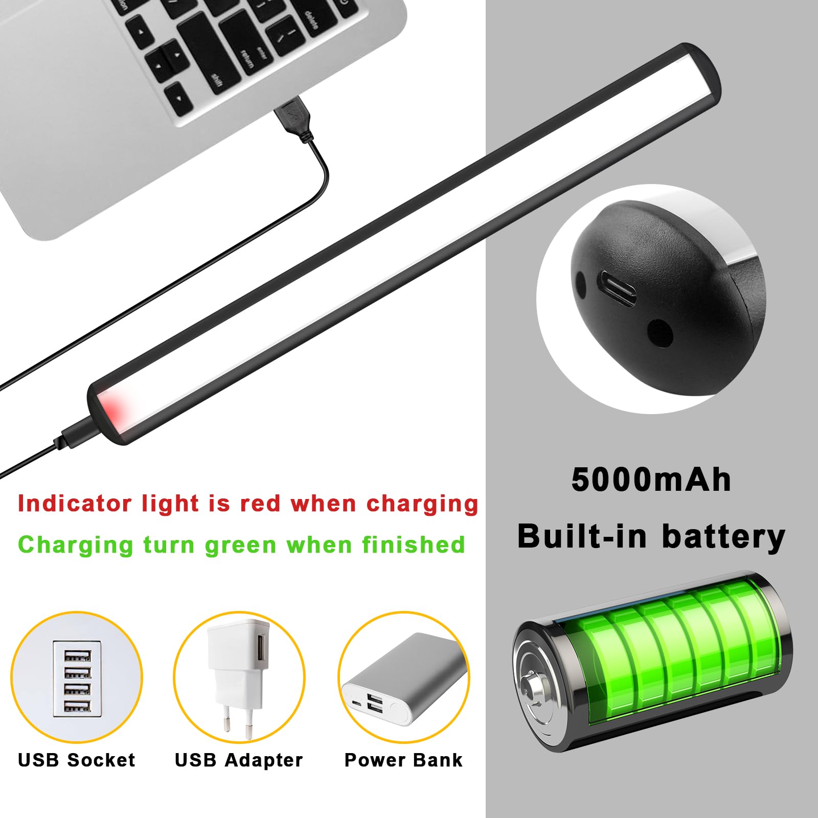 Picture Lights for Paintings Rechargeable, Wall Art Light with Remote Wireless, Above Picture Light Dimmable with Timmer Portrai