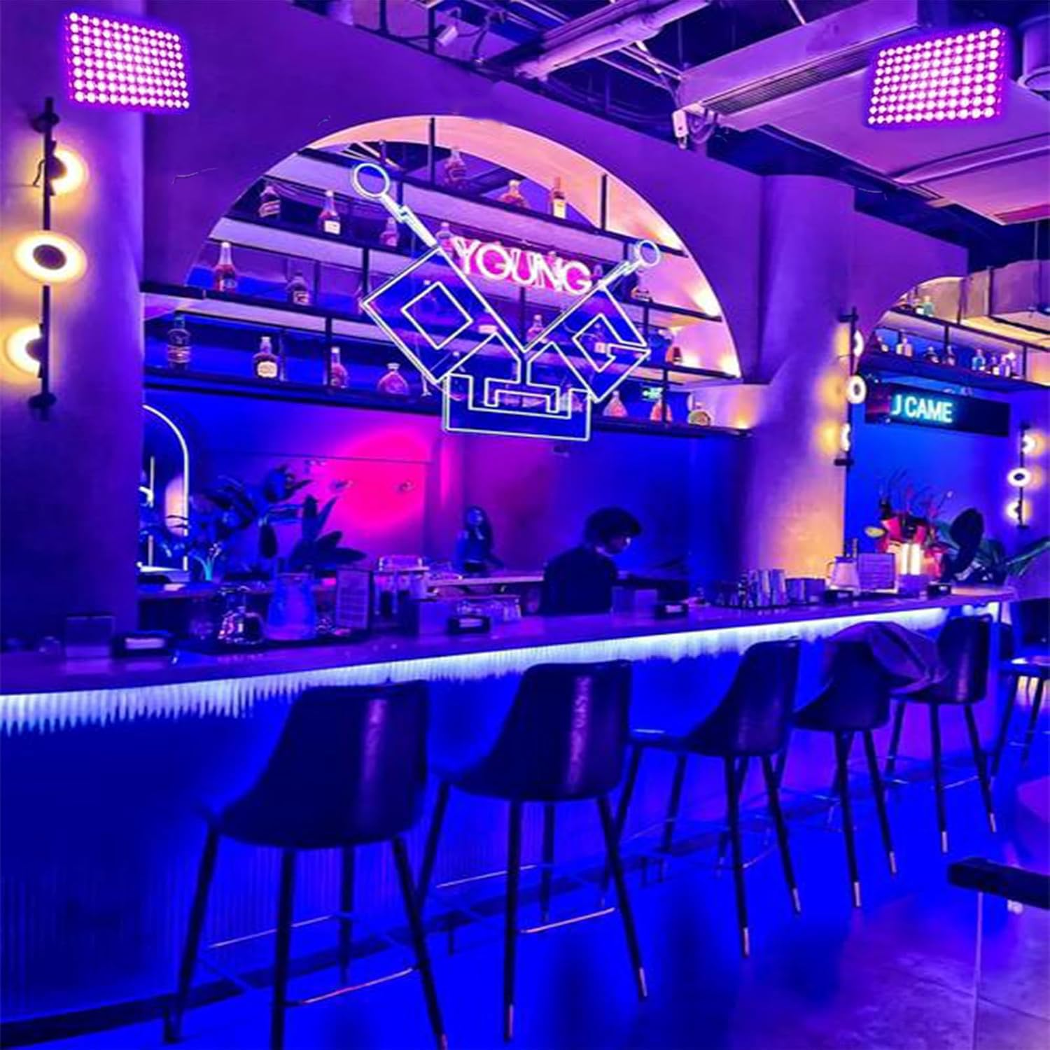 Indmird 150W Blacklight Flood Light - Aluminum, Plug & Switch, Perfect For Glow Parties & Halloween, Model Chx010, Black