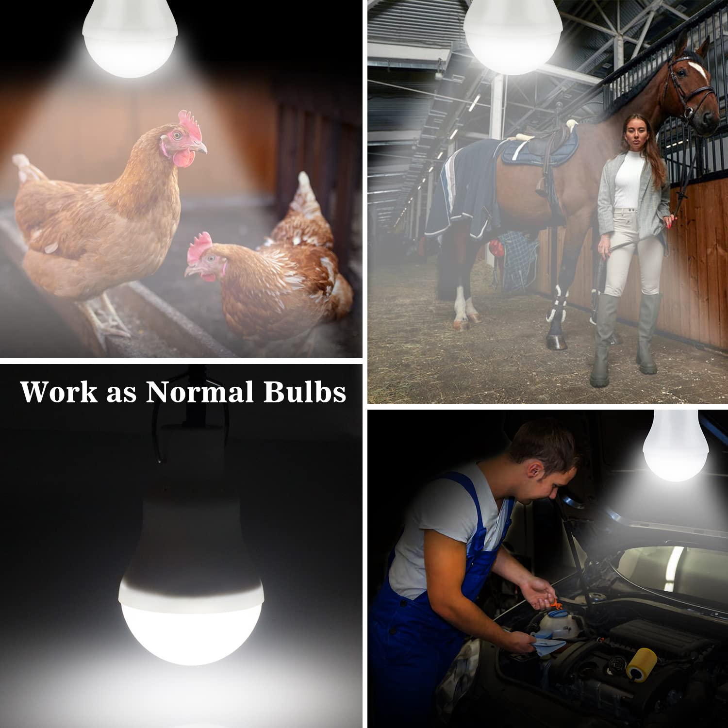 Lampel Solar Light Bulbs - Waterproof LED Camping Lamps, Rechargeable, 2 Pack, Ideal for Indoor Home and Outdoor Use