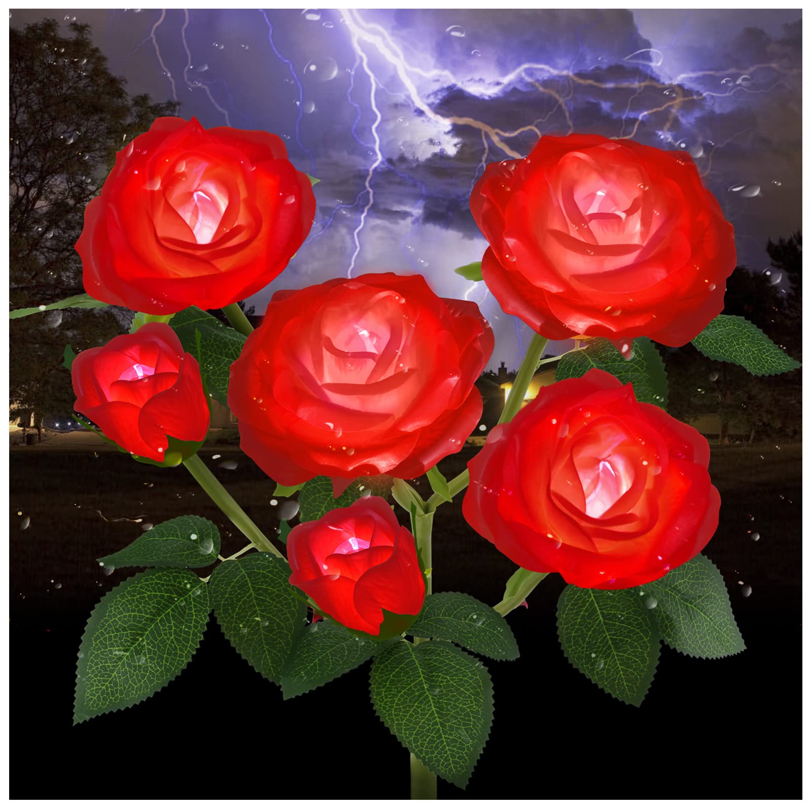 TYNLED Outdoor Solar Garden Stake Lights, 6 Rose Flowers, Waterproof, 1 Pack, Red, Plastic