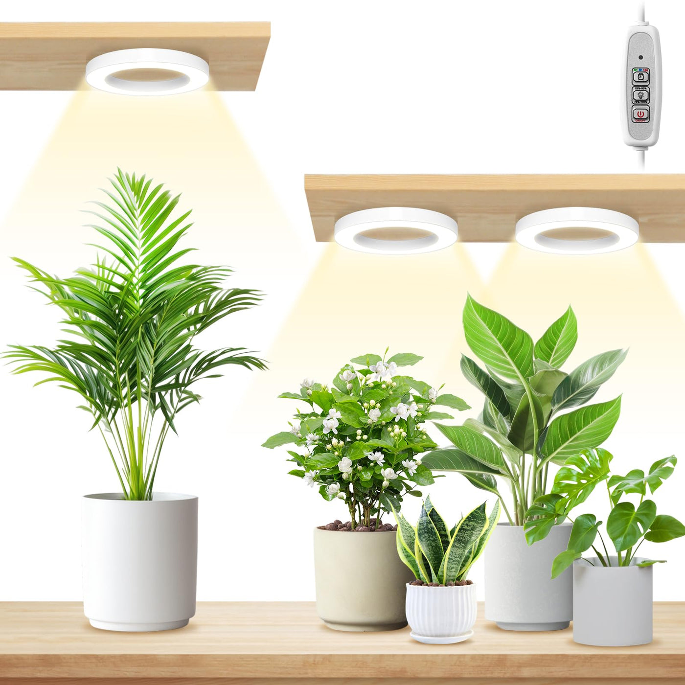 lordem plant grow light LORDEM 6.3” Ceiling Grow Lamp