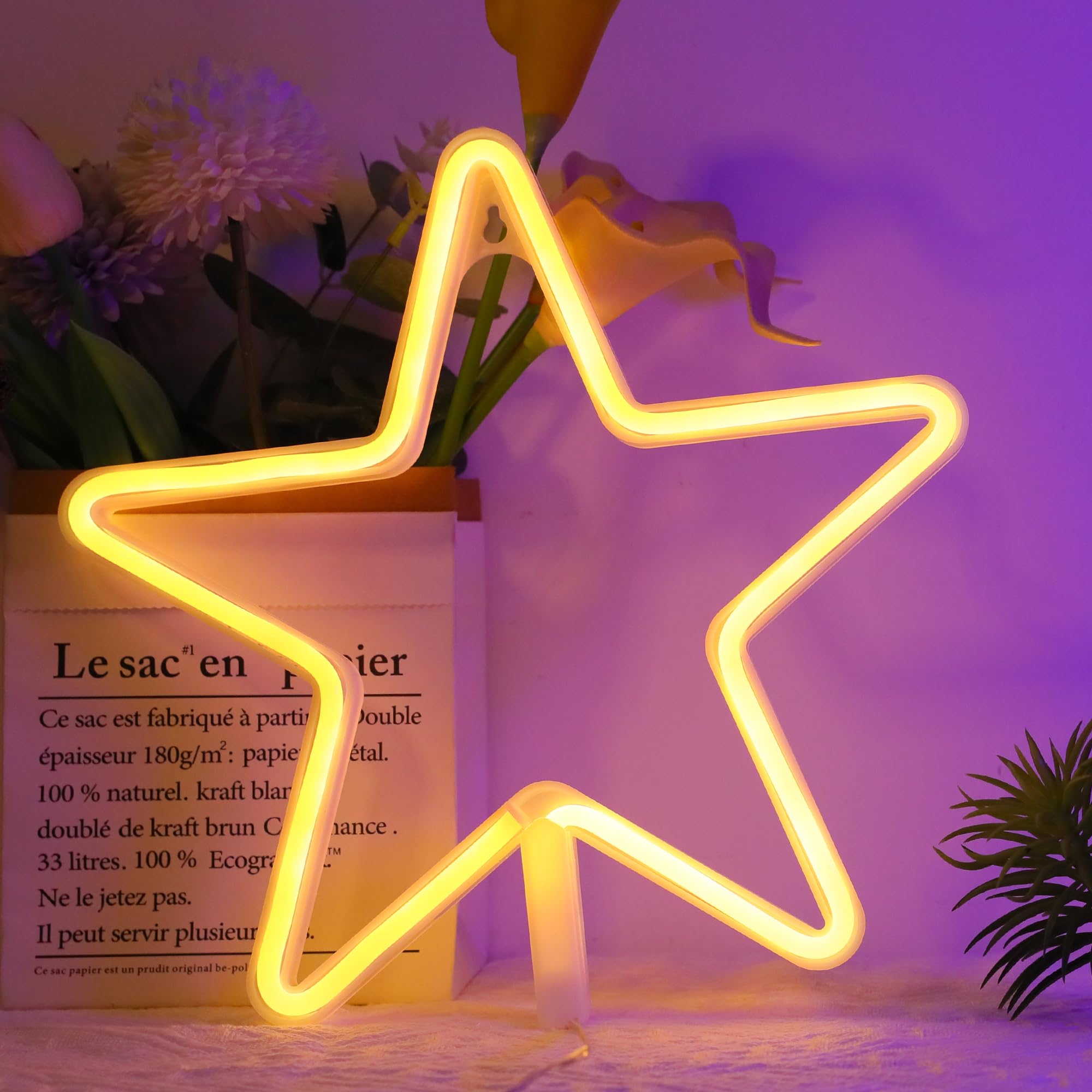 ENUOLI LED Neon Sign Star Night Light Wall Decoration Art for Bedroom Living Room, Warm White, Model sNH.G009, Size: Star