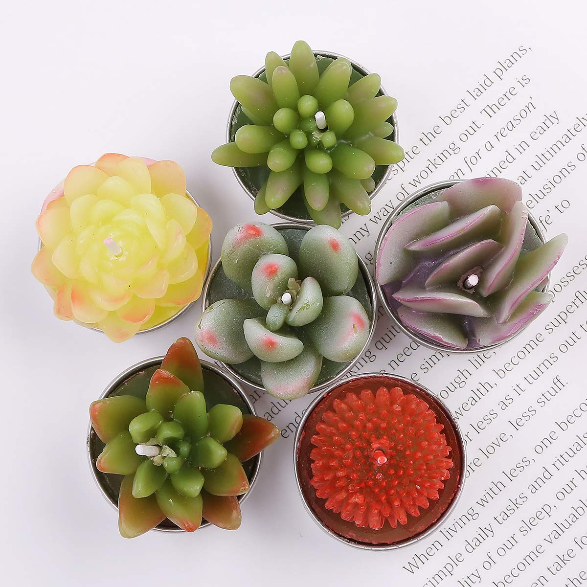 Wangmingtu Succulent Cactus Tea Light Candles Unscented 6Pcs Assorted For Birthday Party Favors Wedding Decor Gift Sets