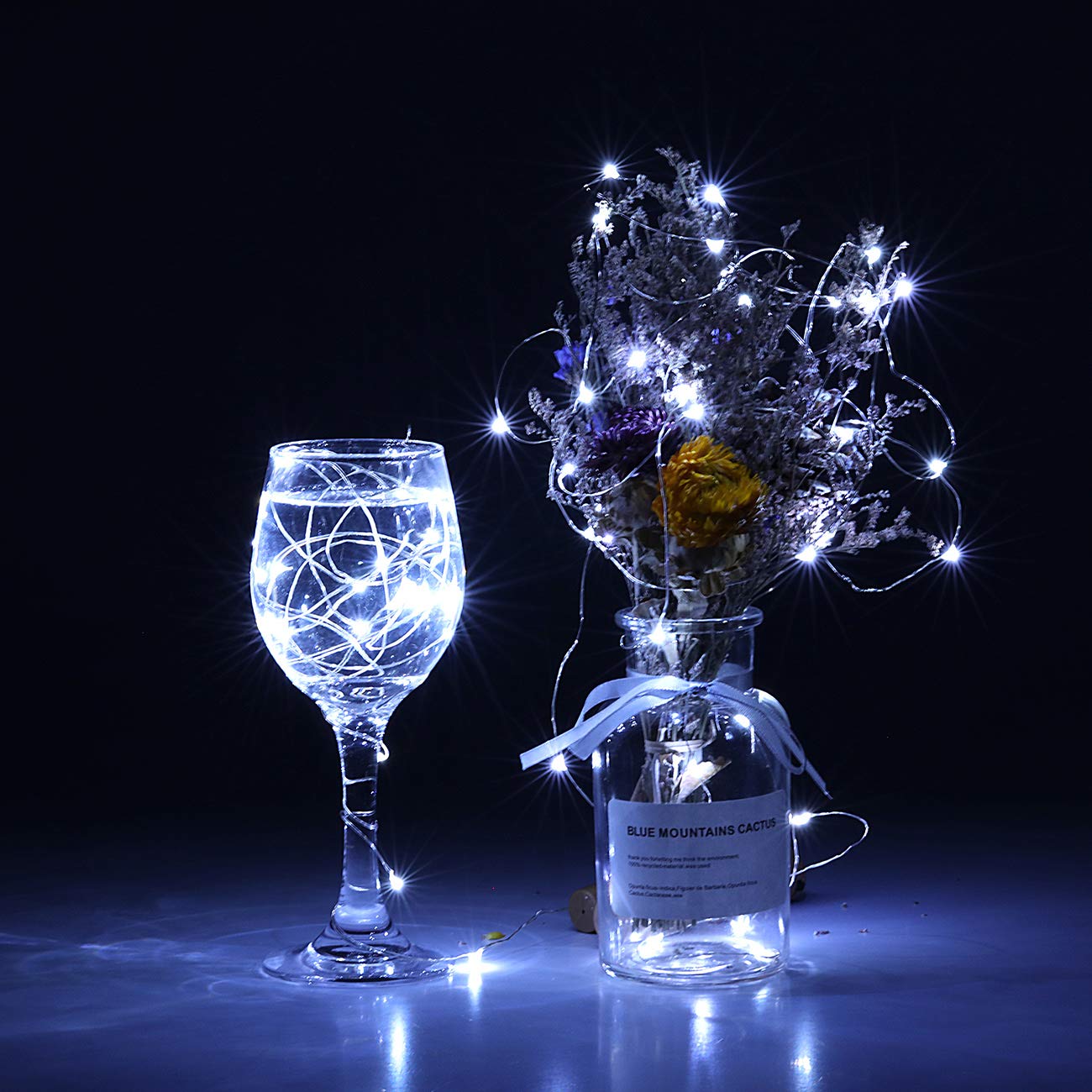 Haosee 20 Pack Fairy Lights Battery Operated,3.3Ft 20 Led Silver Wire Cool White Firefly Lights Mason Jar Lights,Mini Led String Lights For Wedding Mason Jars Party Diy Christmas Decorations