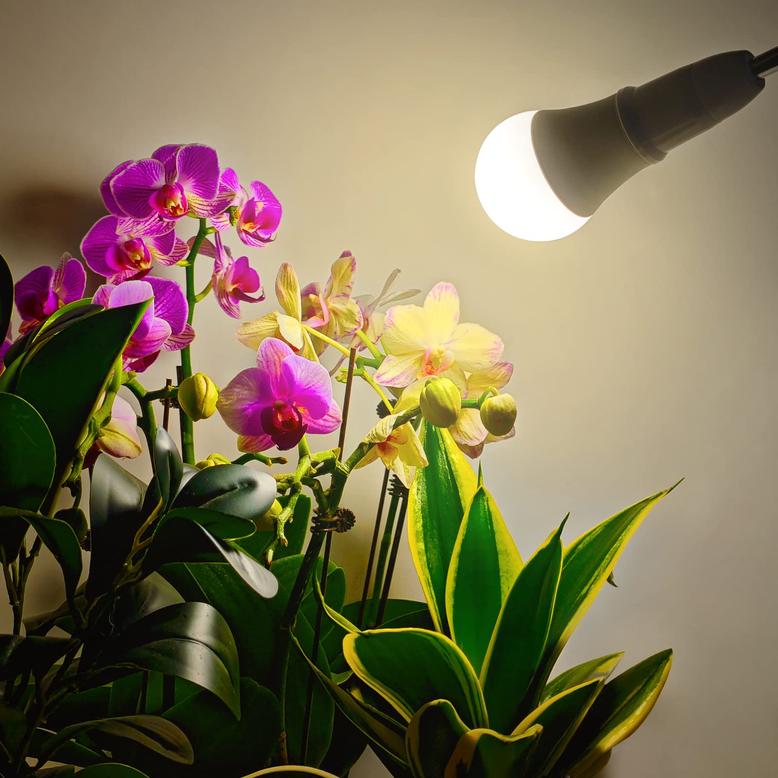 Grow Light Bulbs, Weegrow Led Grow Light Bulb A19 Bulb, Full Spectrum Grow Light Bulb, Plant Light Bulb E26 Base, 11W Grow Bulb 100W Equivalent, Grow Light For Indoor Plant, Seed Starting, Veg, 6 Pack