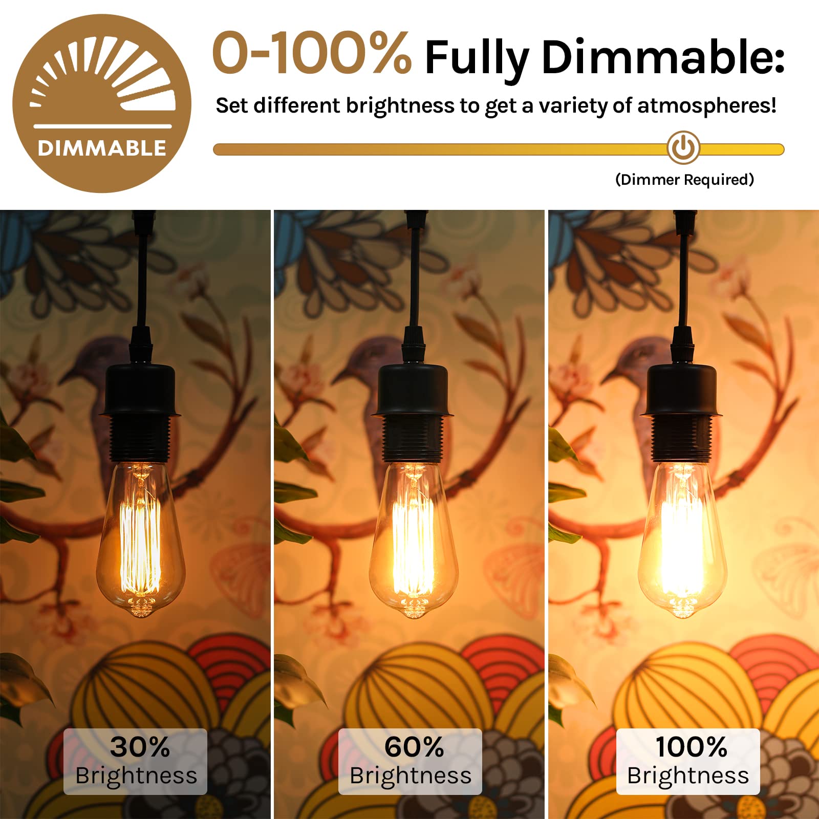 60 Watt Incandescent Edison Light Bulbs, Vintage Dimmable E26 Bulbs, St58 2200K Warm White Antique 260Lm E26 Medium Screw Base A