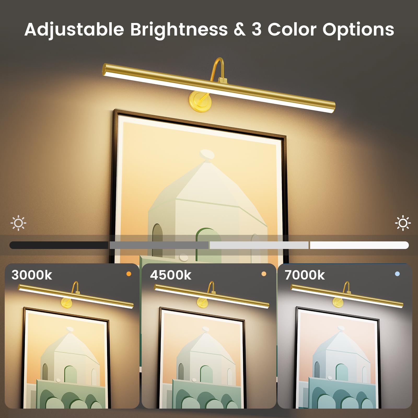 Bridika Picture Lights For Wall Battery Operated, 23.6In Picture Light With Remote, 3 Color Modes And Dimmable Classic Art Light