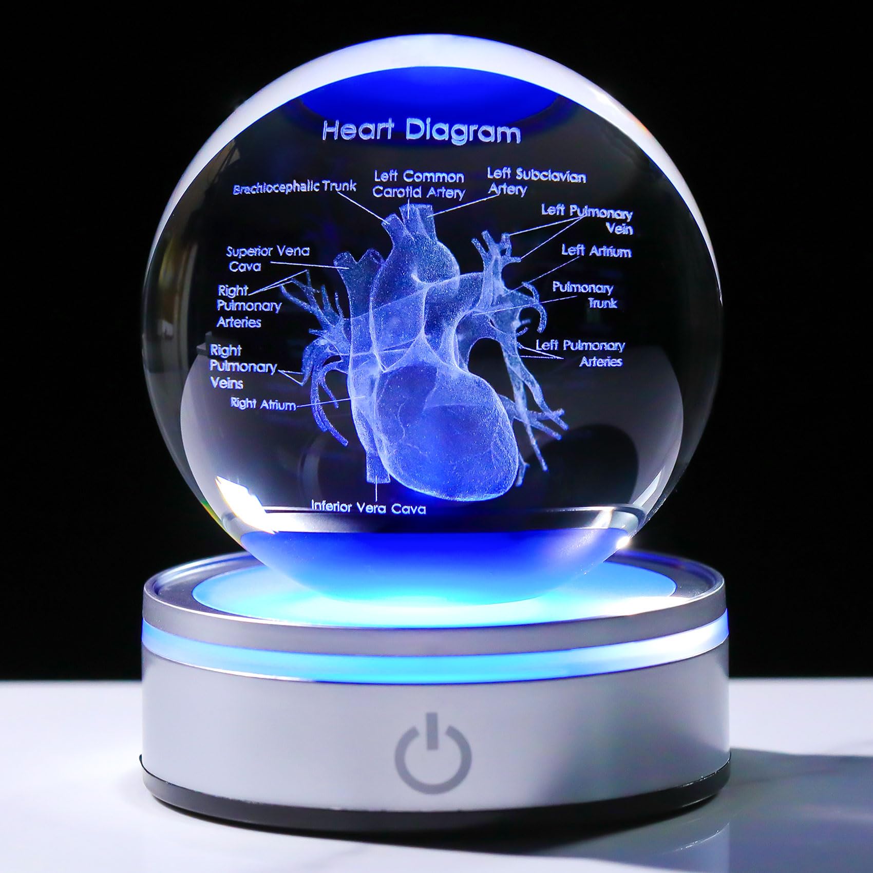 Enjinkail 3D Heart Model Crystal Ball Doctors Gift, Cardiologist Gift For Men And Women With Colorful Led Base, Medical Statue F