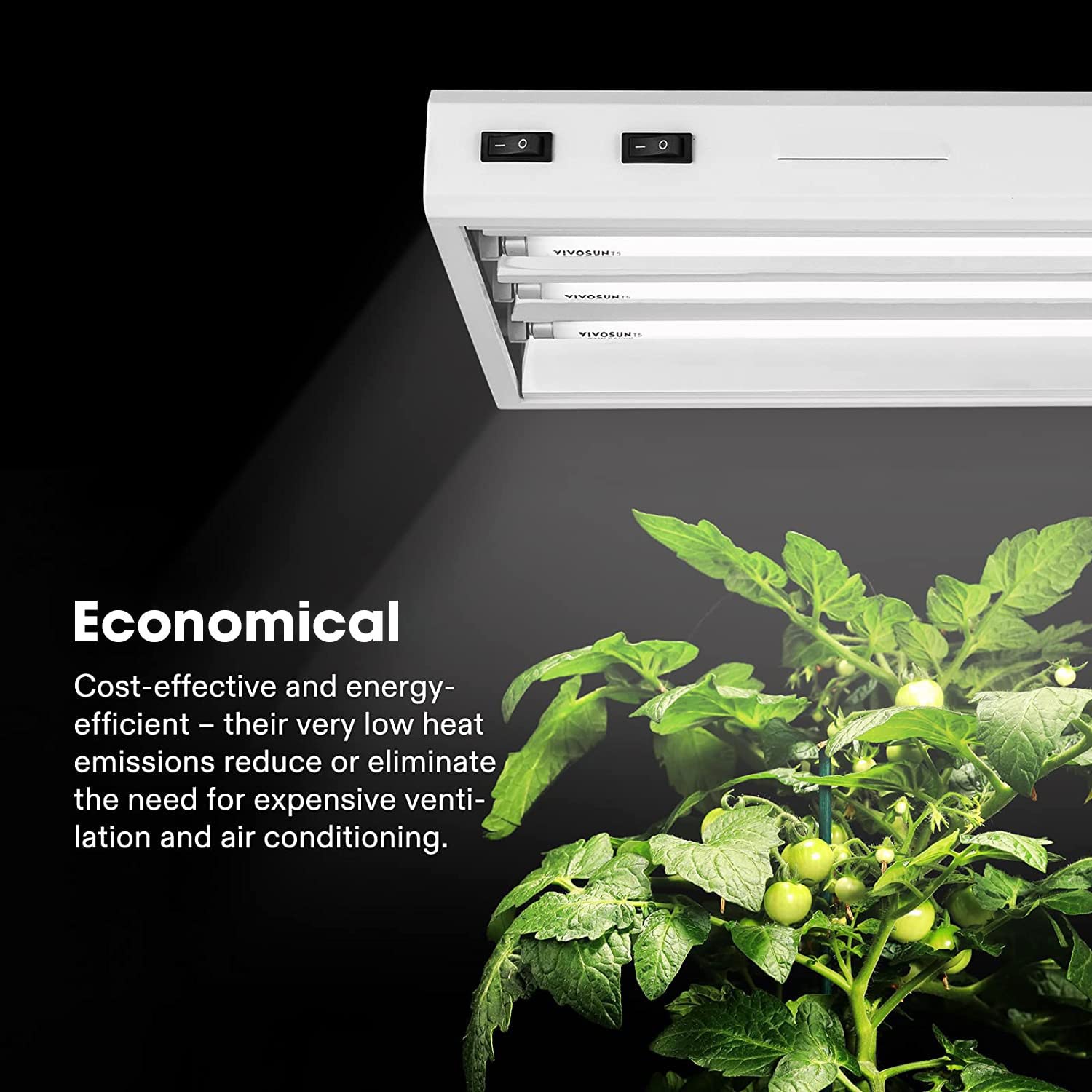 Vivosun T5 Grow Light Bulbs 2 Ft 22 Inches, 24W 6500K Ho Fluorescent Tubes Light Bulbs, Cool White T5 Bulb For 22 Inches T5 Light Fixtures, T5 Grow Lights For Indoor Plants, 2 Ft 24W Pack Of 5