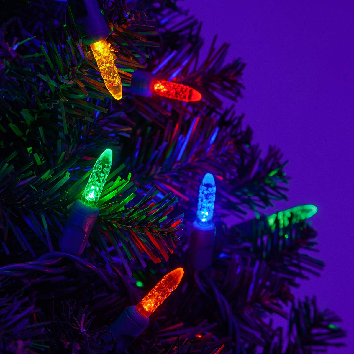 Wintergreen Lighting 50 T5 Christmas Tree Lights, 25.5 ft, Multicolor LED Indoor-Outdoor String Lights, Model IOS-2-50