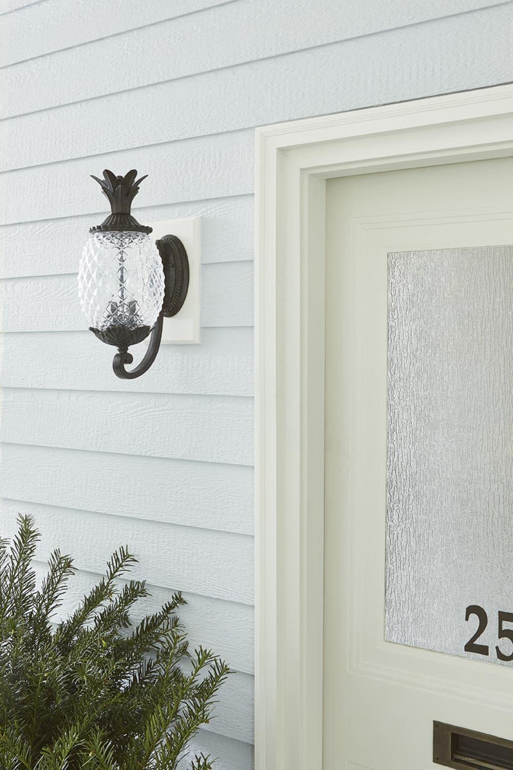 Acclaim 7501Bc Lanai Collection 2-Light Wall Mount Outdoor Light Fixture, Black Coral