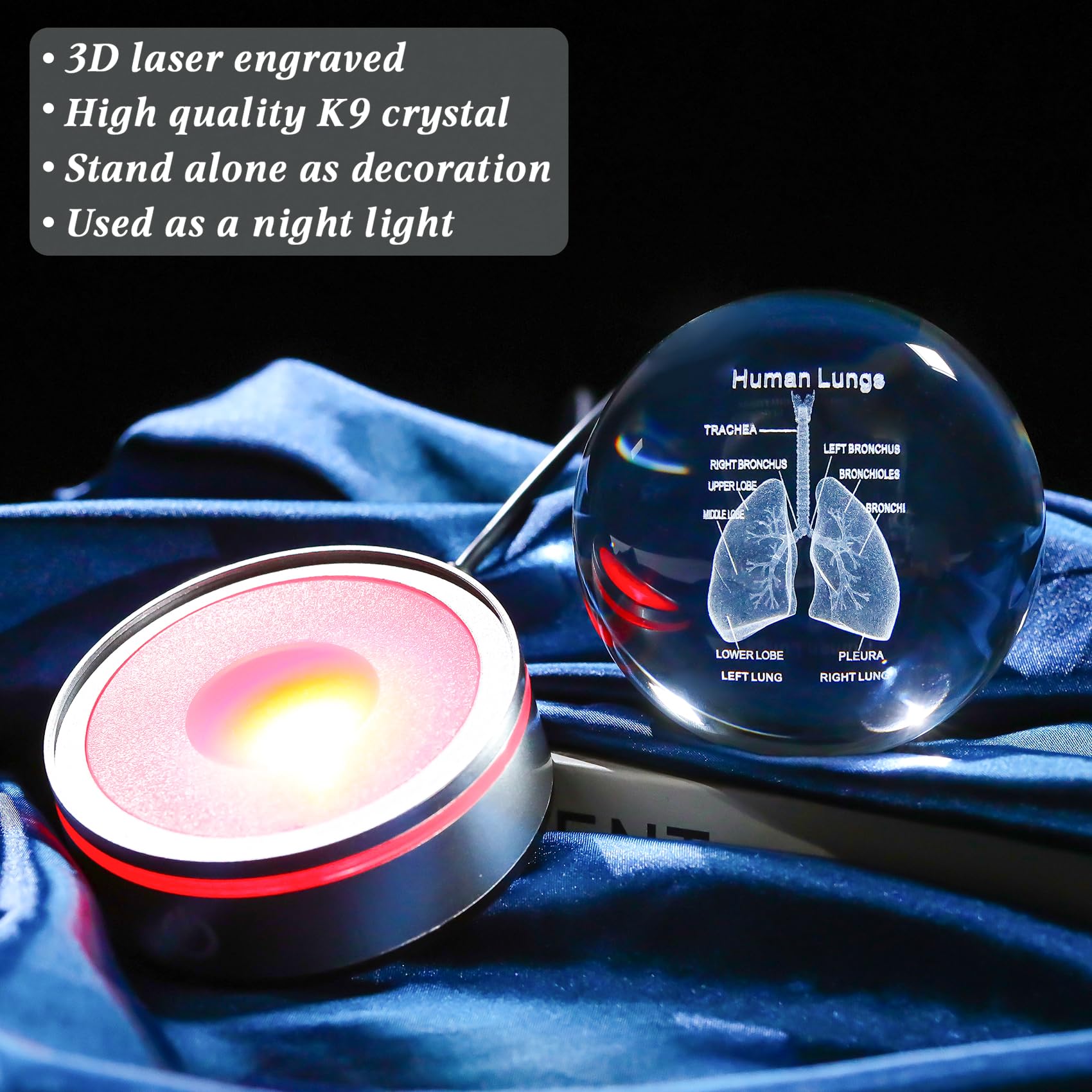 Enjinkail 3D Human Lung Model Crystal Ball Doctor Gifts For Women Men, Laser Etched Glass Anatomical Lung Figurine Science Biolo