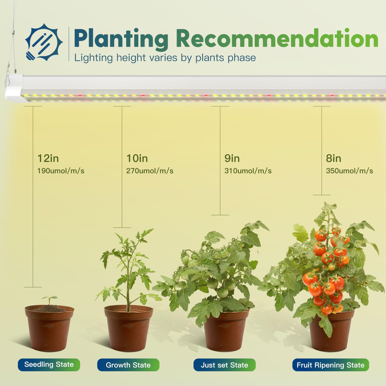 FREELICHT 4FT LED Grow Light - 2 Pack, Full Spectrum, 40W, White, with Timer for Indoor Plants, Hydroponic Growing