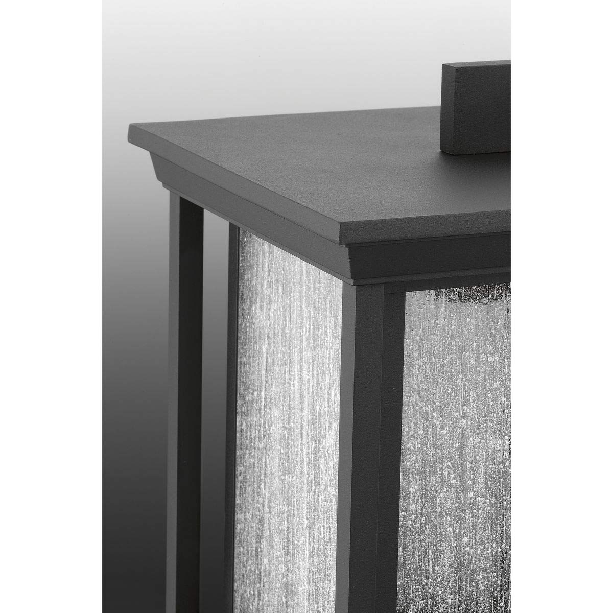Progress Lighting P5605-31 Endicott Outdoor Black Aluminum Fixture