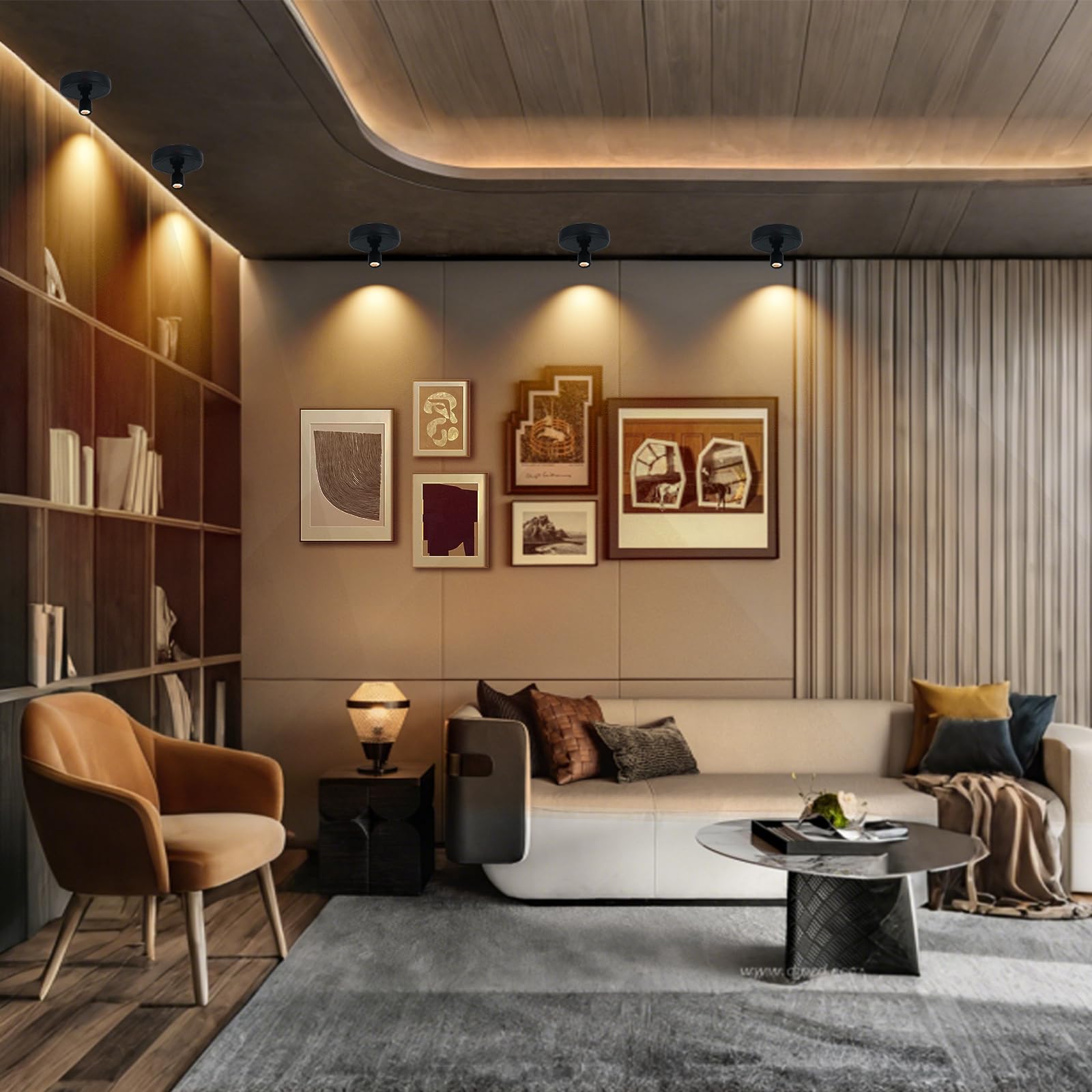 Cordless Spotlight Battery Powered, Indoor Plant Spot Light, Rechargeable Picture Lights with Remote, LED Accent Lighting, Dimma