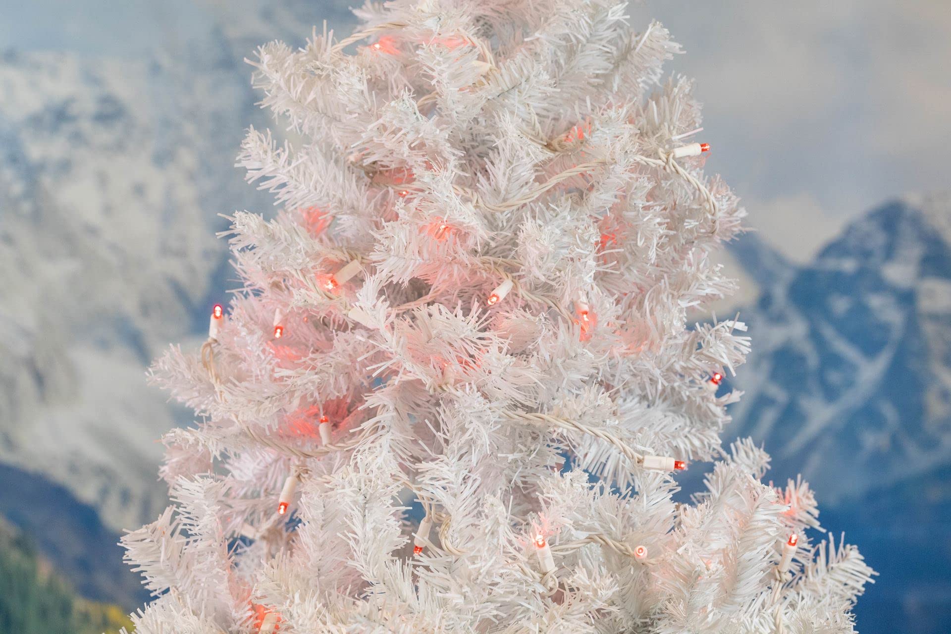 Novelty Lights 50 Light LED Christmas Mini Light Set, 25 Feet, Red, Copper, Model CGWA50-W-RE