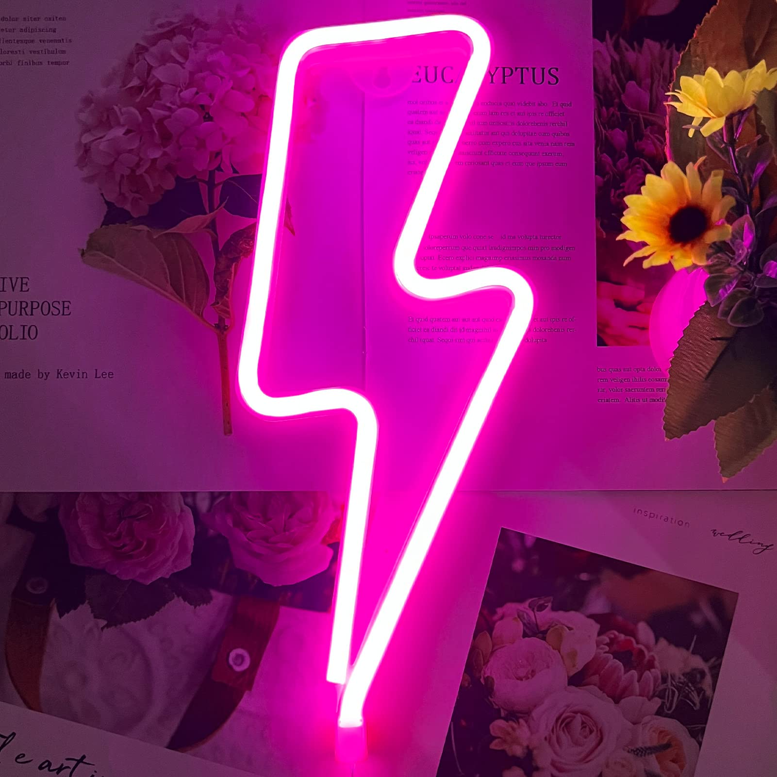 BerniceKelly Neon Lightning Bolt Sign, Pink, USB/Battery Powered, Wall Decor, Model 666LXX-NHD2202171