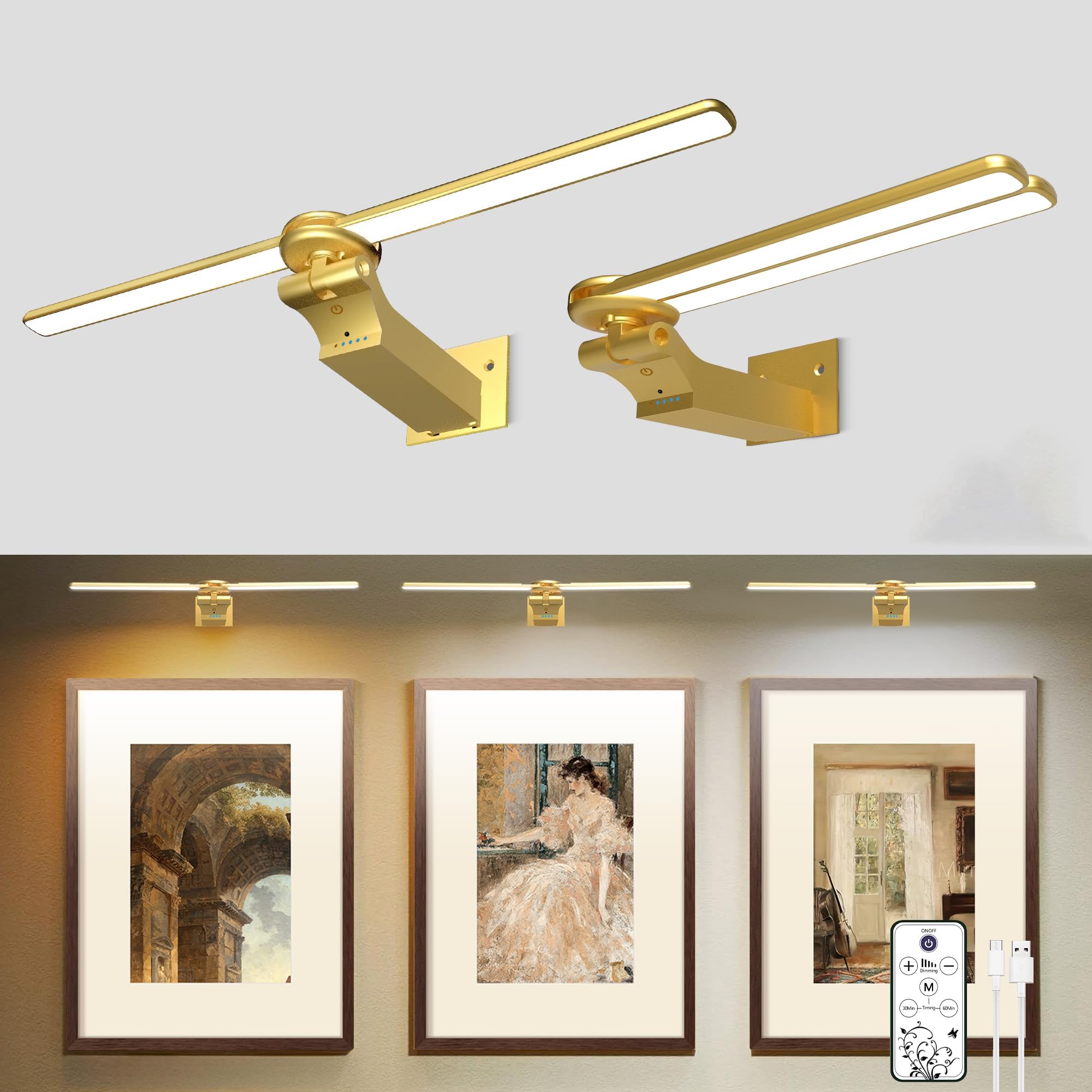 doublacy 2 Pack Picture Light, 18in Dimmable Wall Art Light with Timer, Remote Control, Gold, Model AA-3