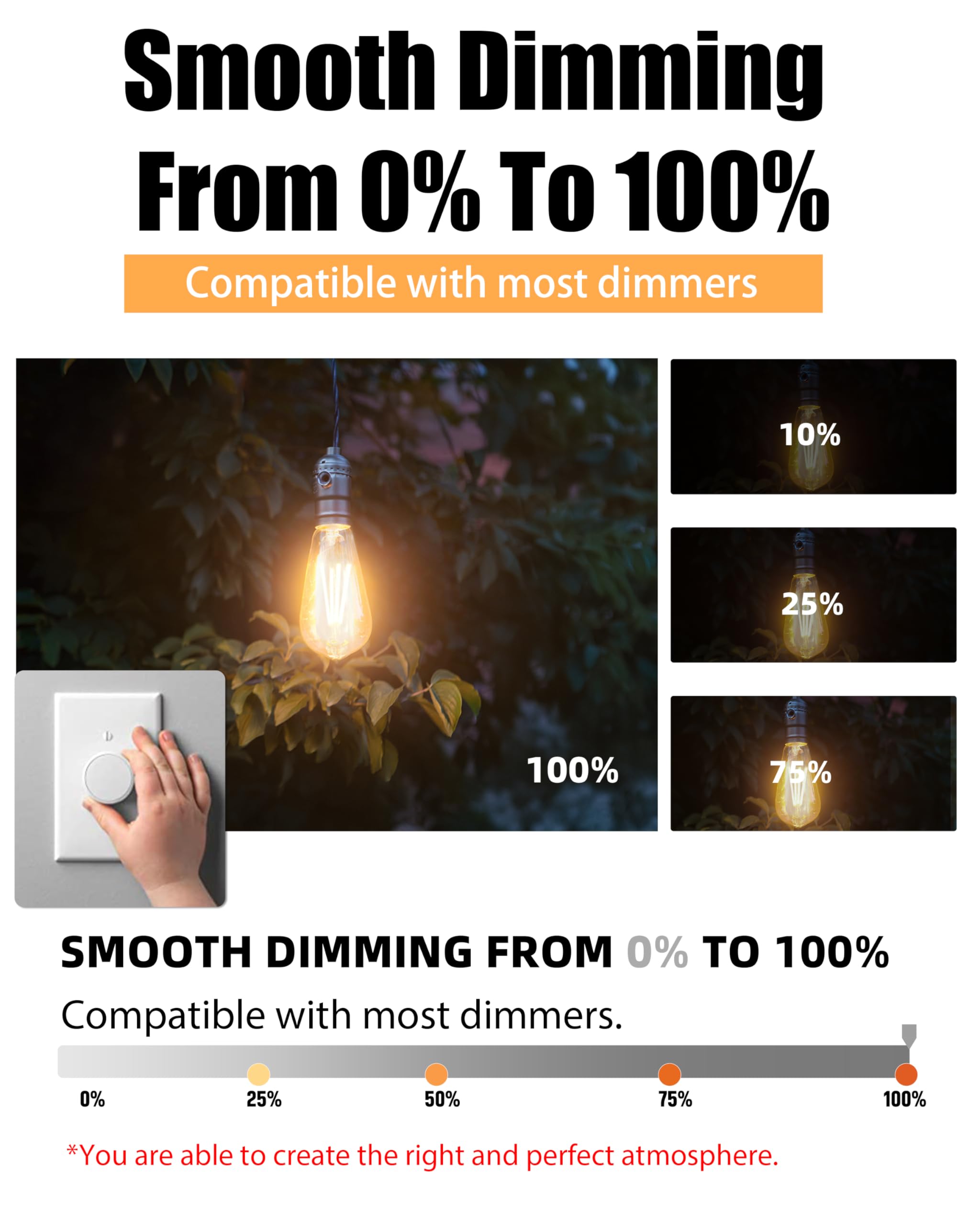 Lumiverse Edison Bulbs 60W Equivalent, Dimmable Led Light Bulbs, Cri 90+, Vintage E26 Lightbulbs, 2700K Warm White, St19 St58, 5