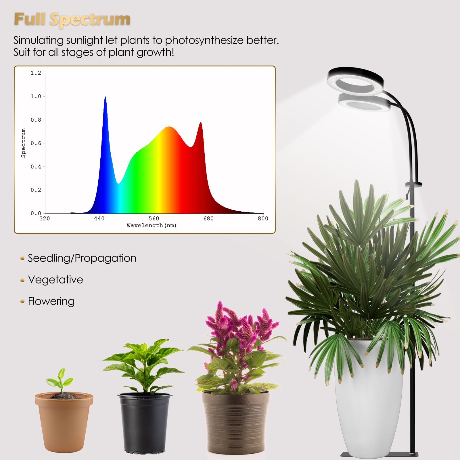 GLOWRIUM 40W Grow Light with Stand, 2-Head Full Spectrum LED, 3/9/12H Timer, 6 Dimmable Levels, Adjustable Height, Black