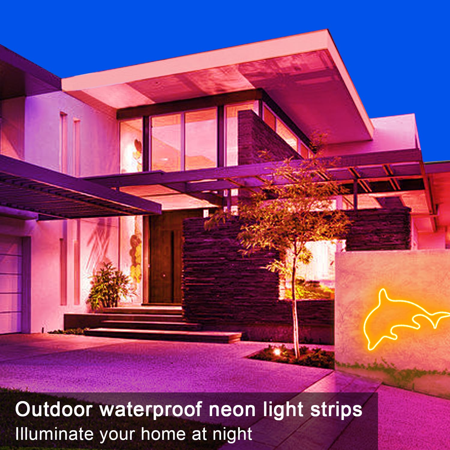 Segrass Led Neon Lights Strip 132Ft,Dc 24V Rgb Led Neon Light Strip App Remote Controls Control Waterproof Flexible Neon Led Rop