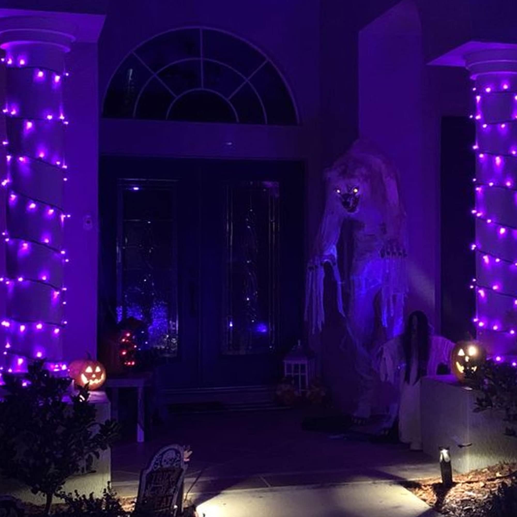 Tw Shine 200 Led Purple Halloween Lights, 66Ft Waterproof With 8 Modes, Indoor/Outdoor Decorations, Model Hb-200Coi