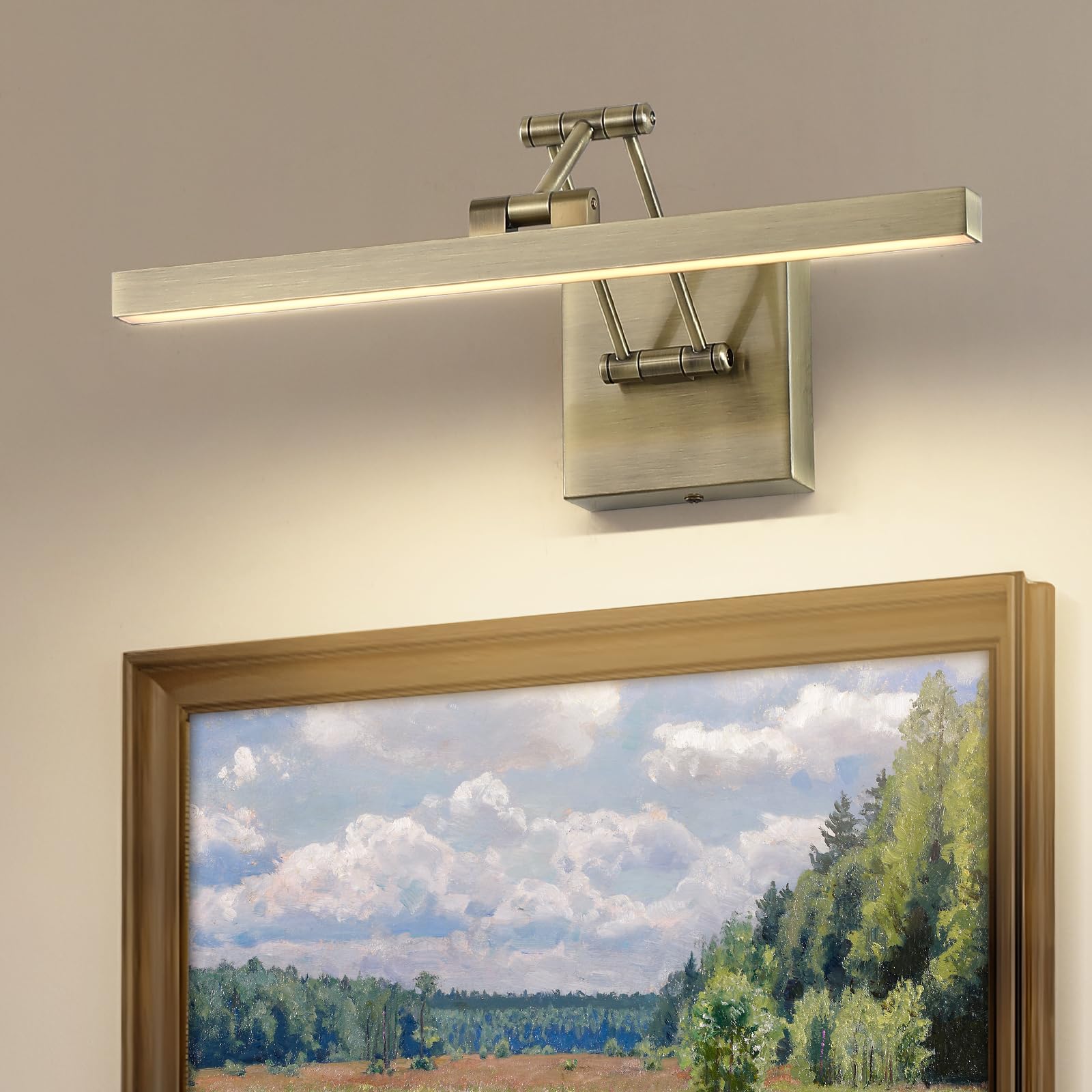 Pasoar Led Picture Lights For Paintings Dimmable 15.5 Inch Long Hard-Wired Picture Frame Lights Gallery Wall Light With Adjustab