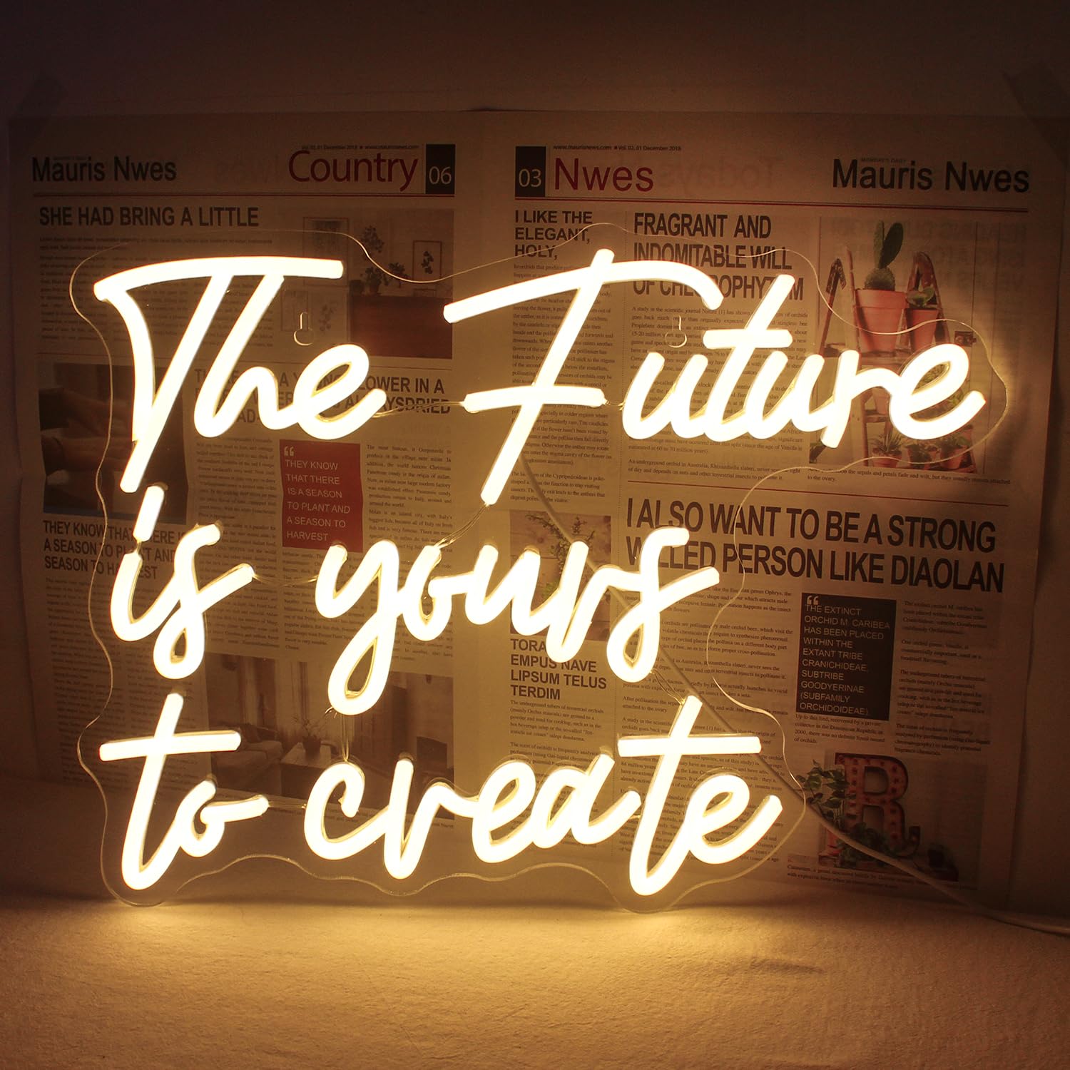 Horseneon Neon LED Sign - Warm White Acrylic Wall Decor for Bedroom, Living Room, Office, Childrens Room - USB Powered
