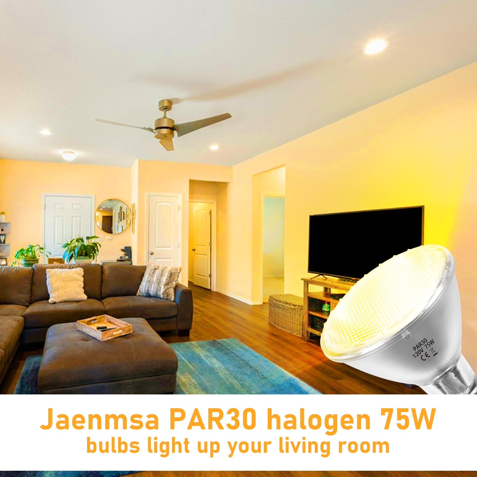 Jaenmsa Par30 Halogen Flood Light Bulbs 75W 12 Pack E26 Base 2700K Soft White Glass