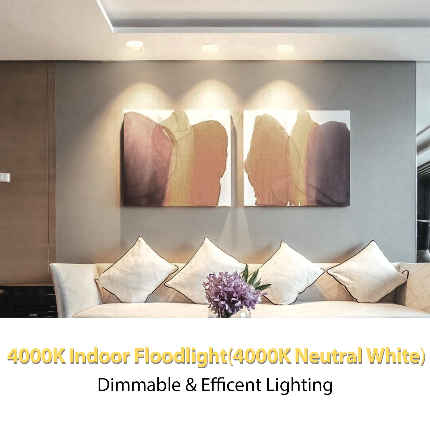dalattin BR30 LED Bulbs 24 Pack, 9W 800 Lumens, Dimmable 4000K Neutral White, E26 Base, Indoor Flood Lights