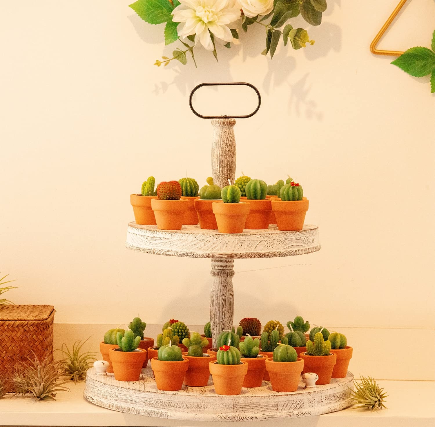 Juans Moment 12pcs Cactus Tealight Candles Paraffin Wax Green VES1690 Bridal Shower Gifts Party Decorations