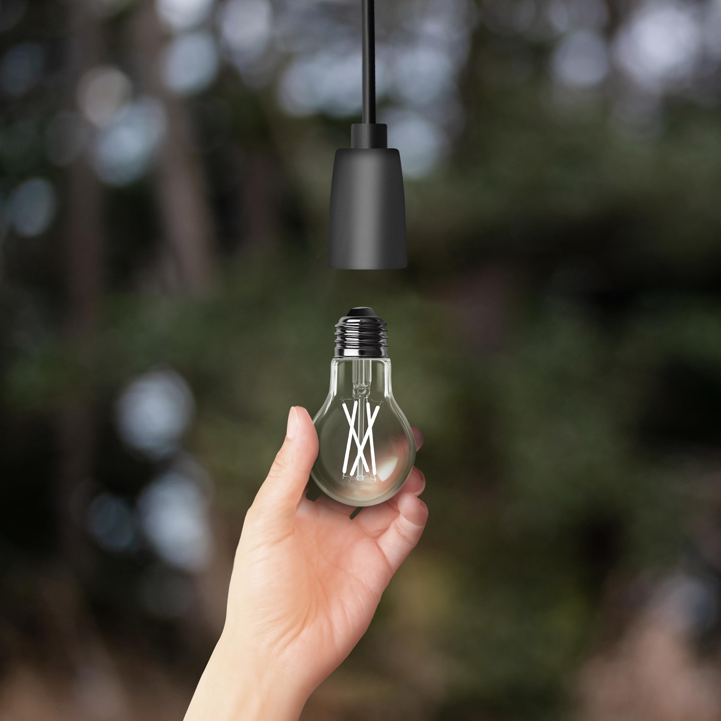 Feit Electric LED Intellibulb A19 Light Bulb - 60W Equivalent, 800 Lumen, 5000K Daylight, E26 Base, Clear Filament