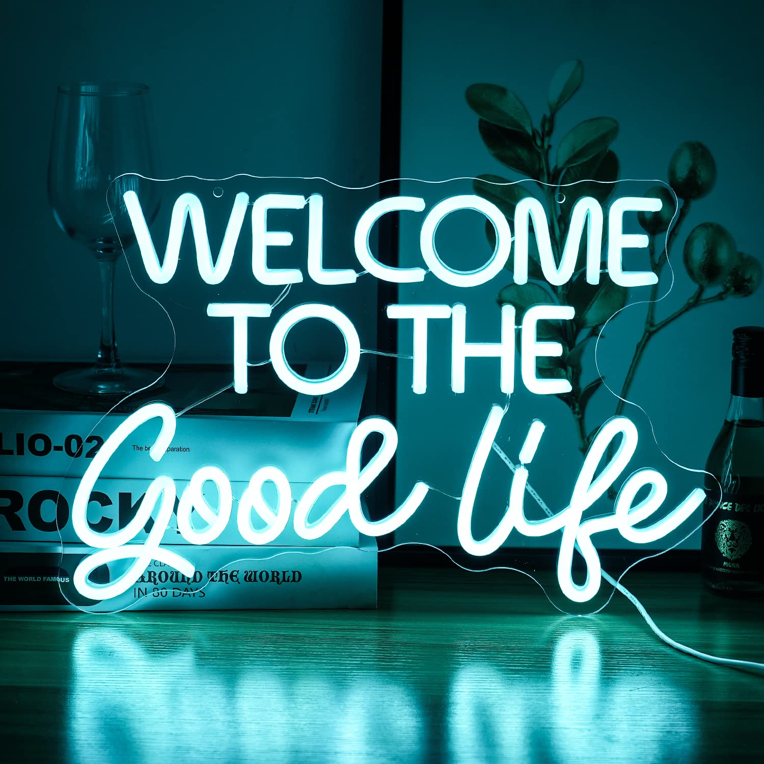 LISIGNVE Neon Sign LED Light - Dimmable USB Powered, 16.5’’x11’’, Ice Blue, Welcome To The Good Life, Decorative Light for Kids Room, Bar