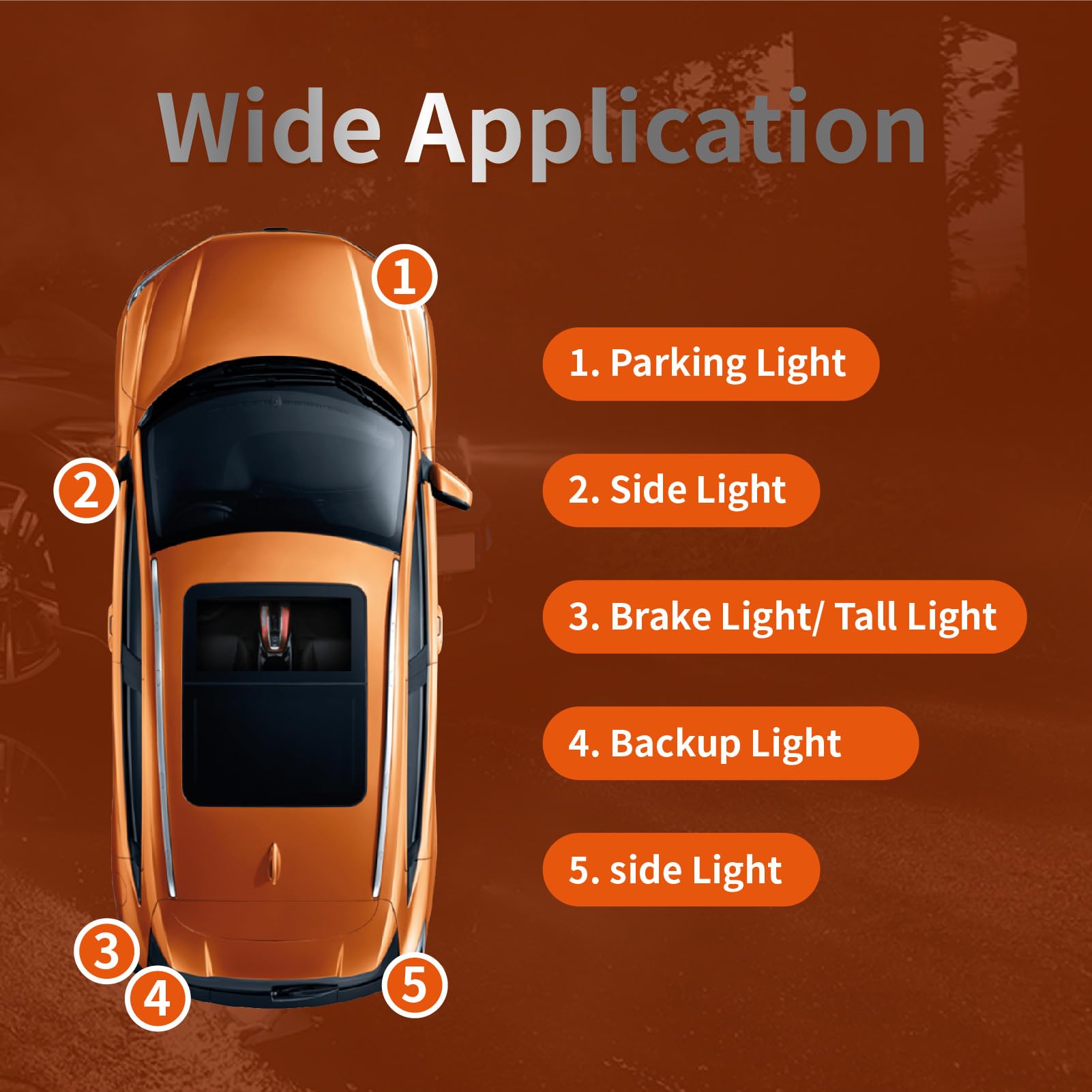ALKOREY Miniature Bulb PY21W 12V 21W Amber Light Replacement for Turn Signal/Reverse Lights, 2 Pack
