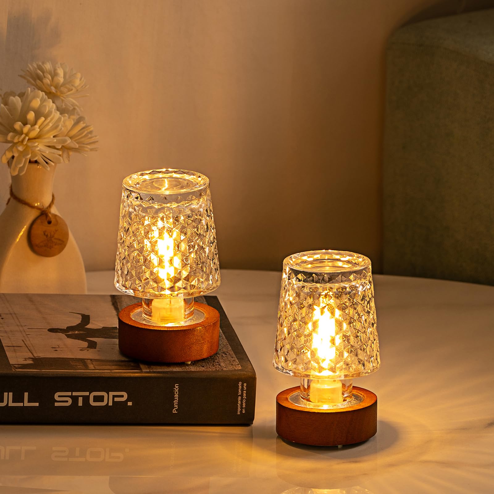 PWTZMYXGS Mini Battery Lamp, Vintage Crystal Night Light with Timer, Cordless Bedside Lamp for Bedroom, Model PWT-2-1-1