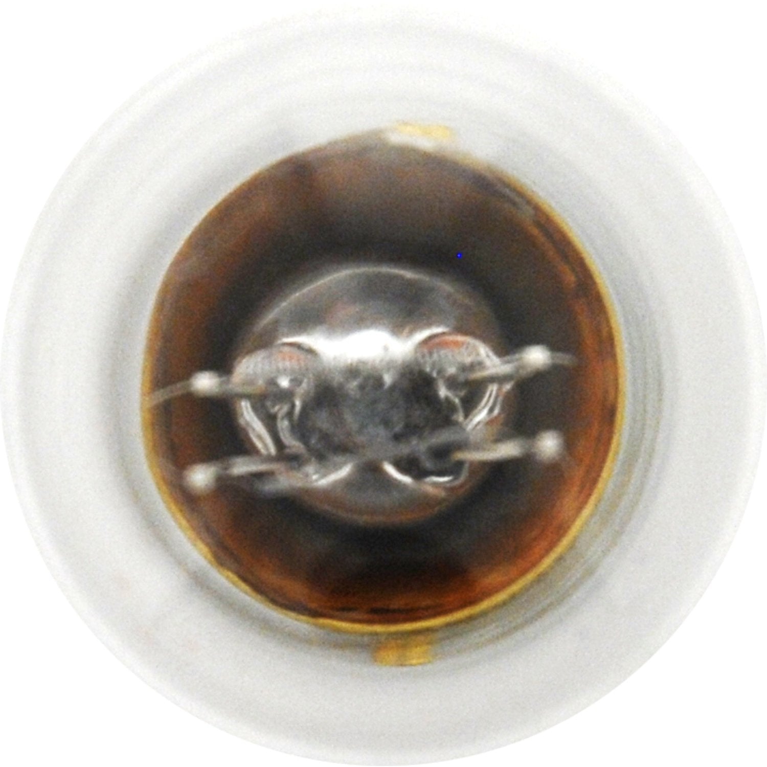 SYLVANIA 2357 Miniature Bulb - Clear, 10 Count, Model 2357.TP