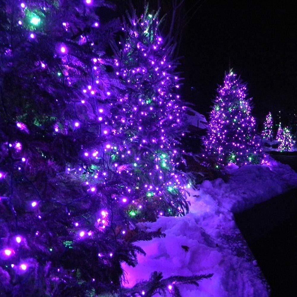 Toodour Solar Christmas Lights, 200 LED, 72ft, Waterproof, Purple, Model DSL-100-200, 8 Modes for Outdoor Decorations