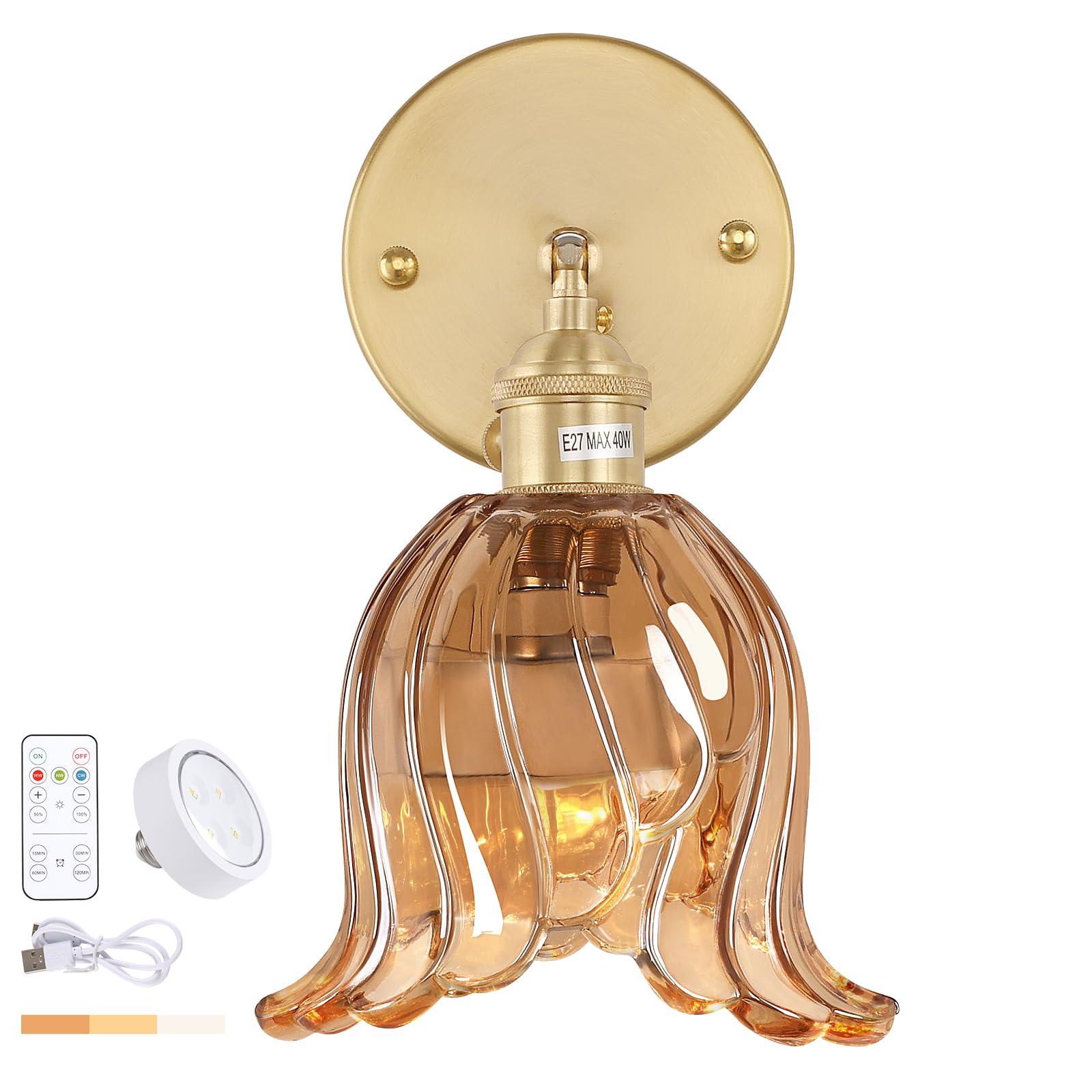 Shenmoyl Vintage Battery Operated Wall Sconce, Rechargeable LED Light with Remote Control, Glass, Amber Lily, 1 Pack