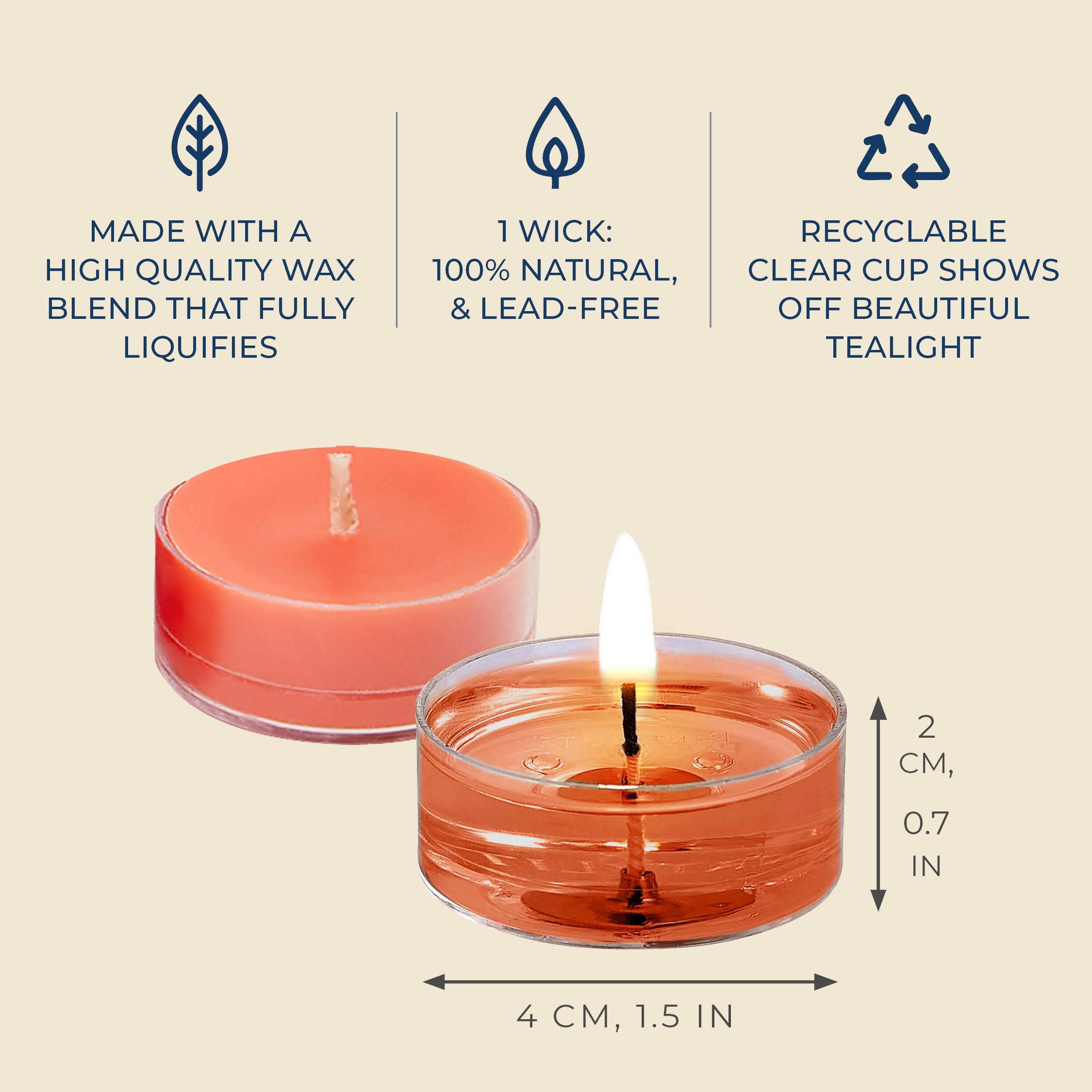 Partylite Set Of 12 Tea Lights Candles  G fruit & Rosemary Scent  Aromatherapy Scented Candles Gift Set  Up To 4 To 6 Hours Burn Time