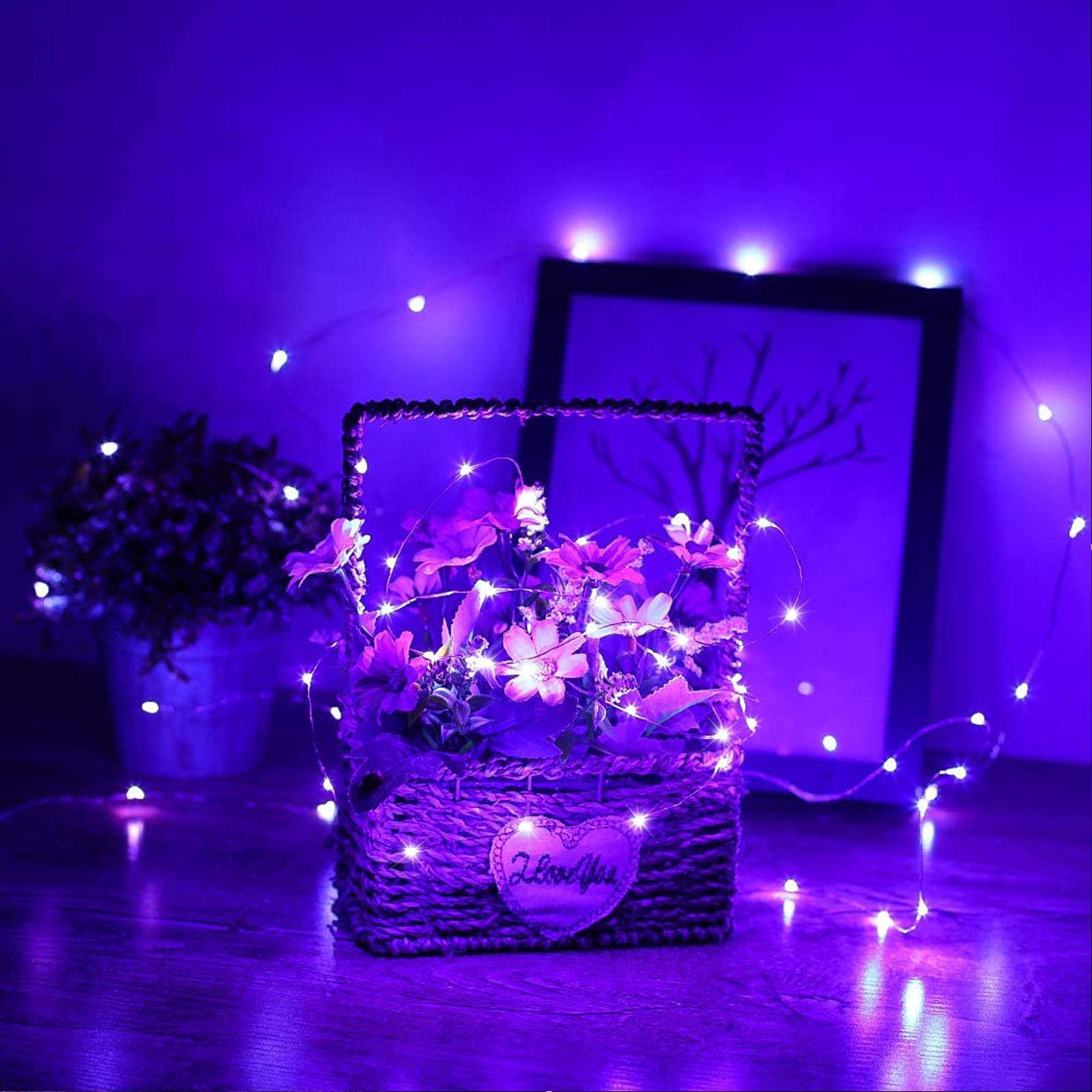 Ruichen 20Ft 120 Led Purple Usb Fairy Lights, Waterproof Copper Wire For Home Decor & Parties