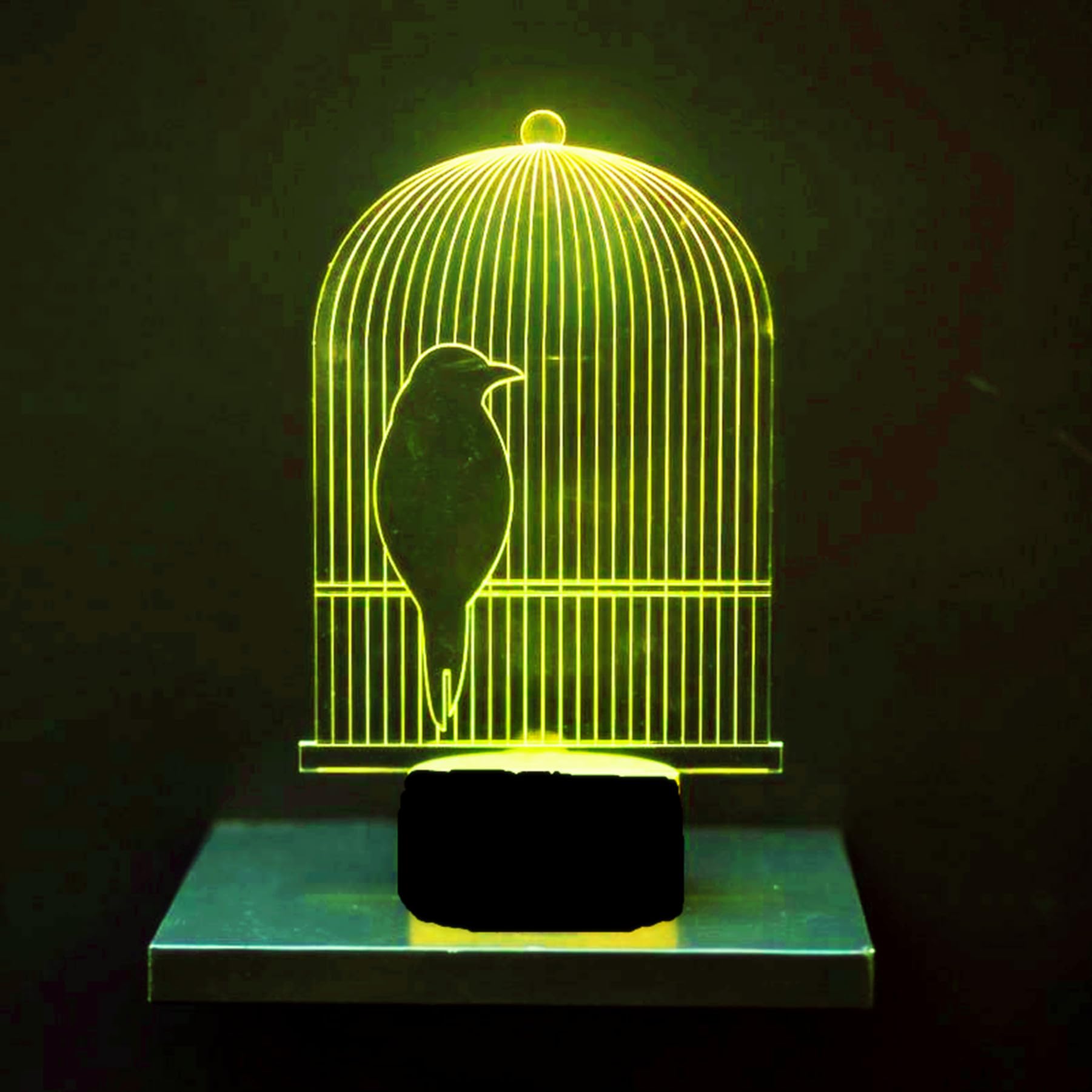 Jinnwell 3D Birdcage Night Light Lamp Illusion 7 Color Changing Touch Switch Table Desk Decoration Lamps Acrylic Flat ABS Base U