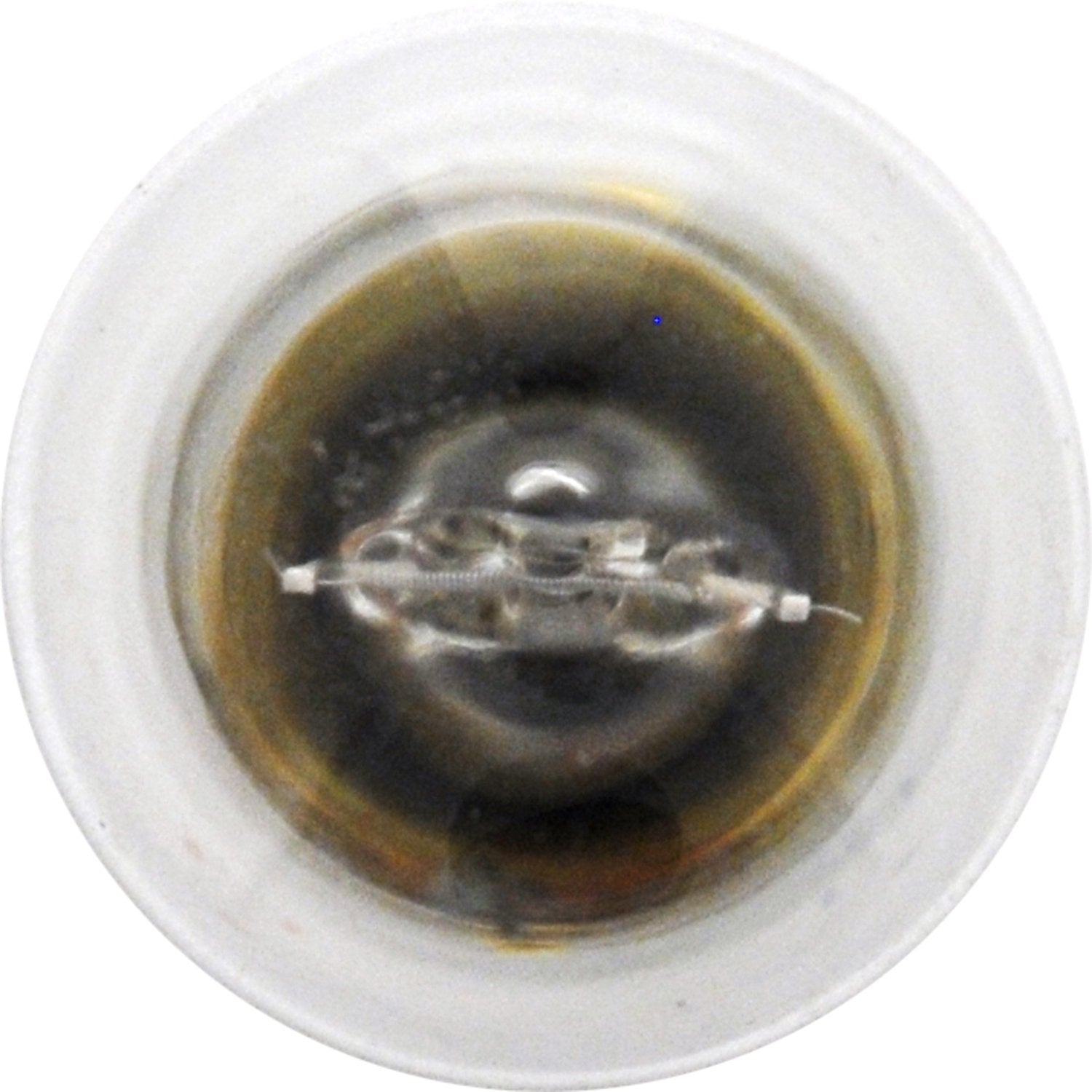 SYLVANIA Miniature Bulb 93 Model, 10 Pack, Basic Clear Bulbs