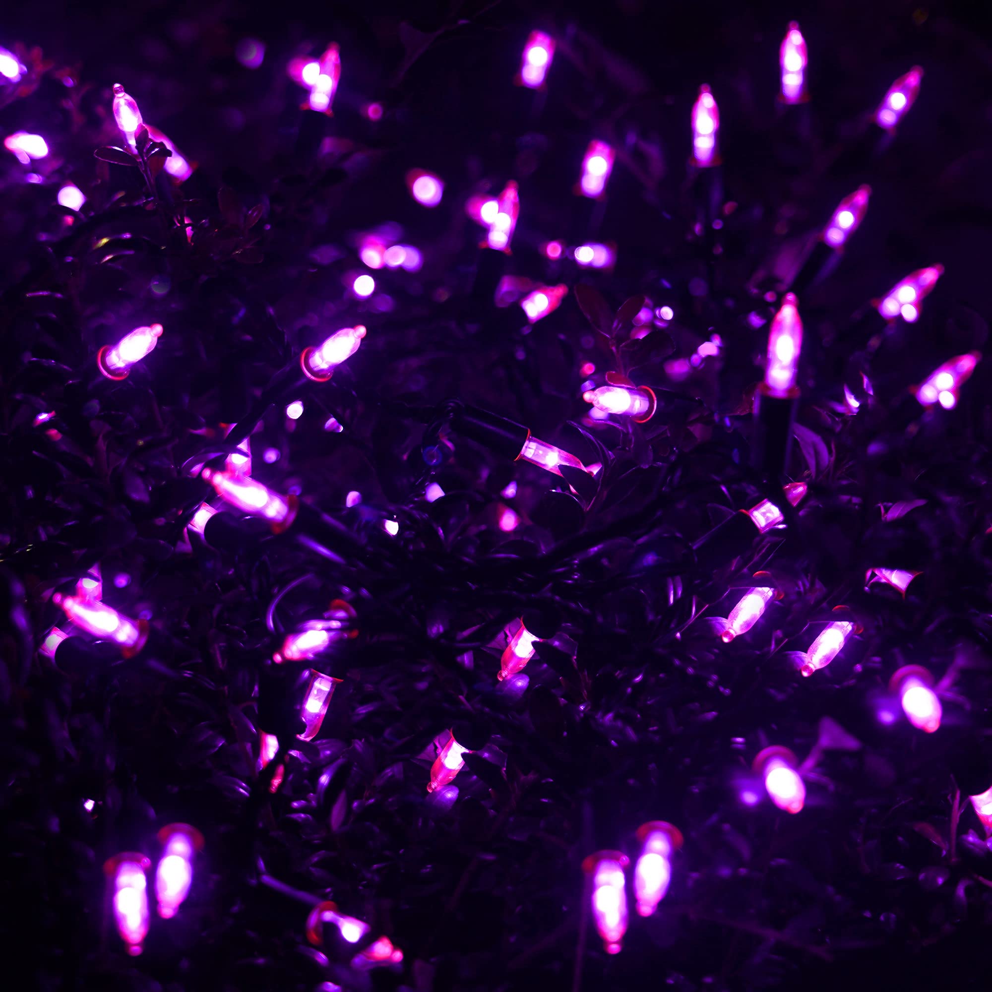 WATERGLIDE 50 LED Outdoor Halloween String Lights, 16 FT, 8 Modes, Waterproof, Battery Operated, Purple