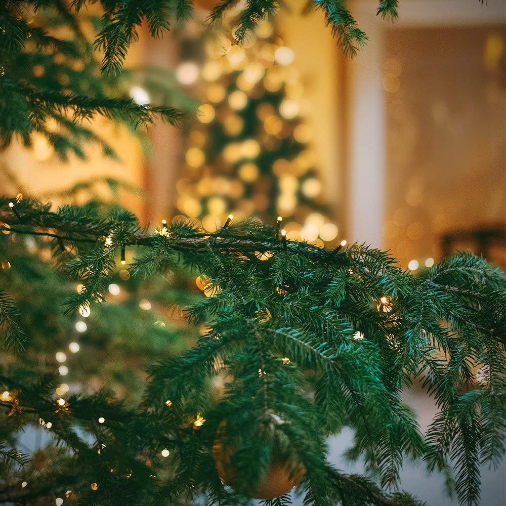 OUTYLTS Christmas String Lights 300 LED Warm White 108FT IP55 Waterproof Model QL300I for Indoor/Outdoor Decoration