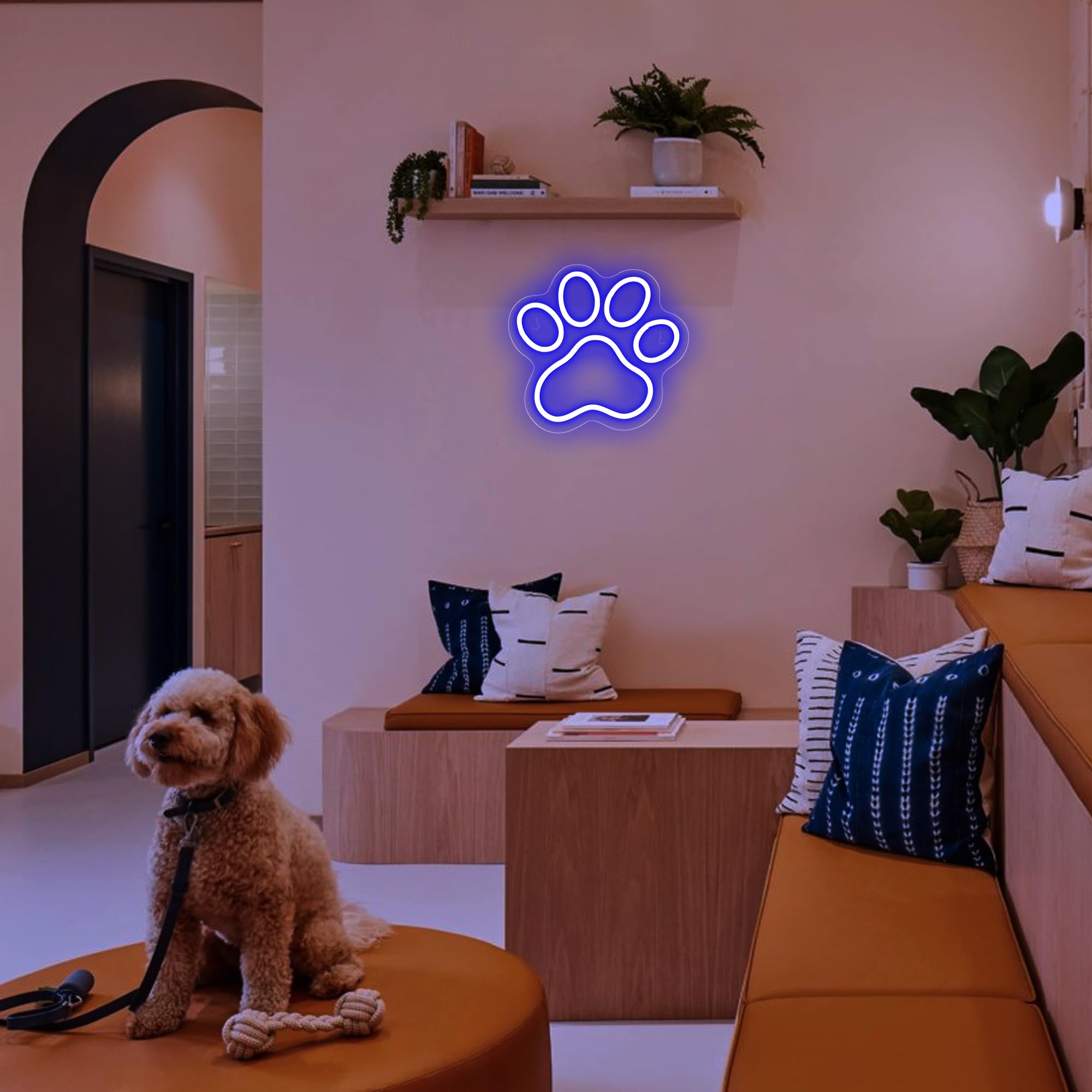 Aslanka Paw Neon Sign, Dimmable LED Light for Wall Decor, 9.84x9.25 inches, Blue