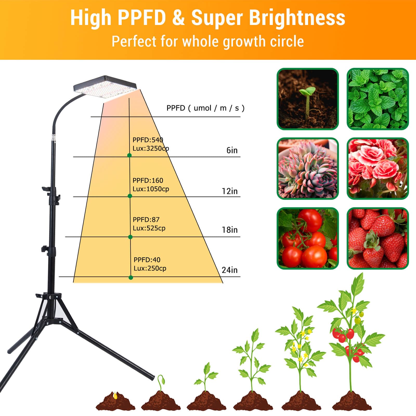Fecida Grow Lights For Indoor Plants With Stand, Uv-Ir Full Spectrum Led Standing Plant Grow Light, 2000 Lumen Houseplant Growing Floor Lamp With On/Off Switch, Daisy Chain Function