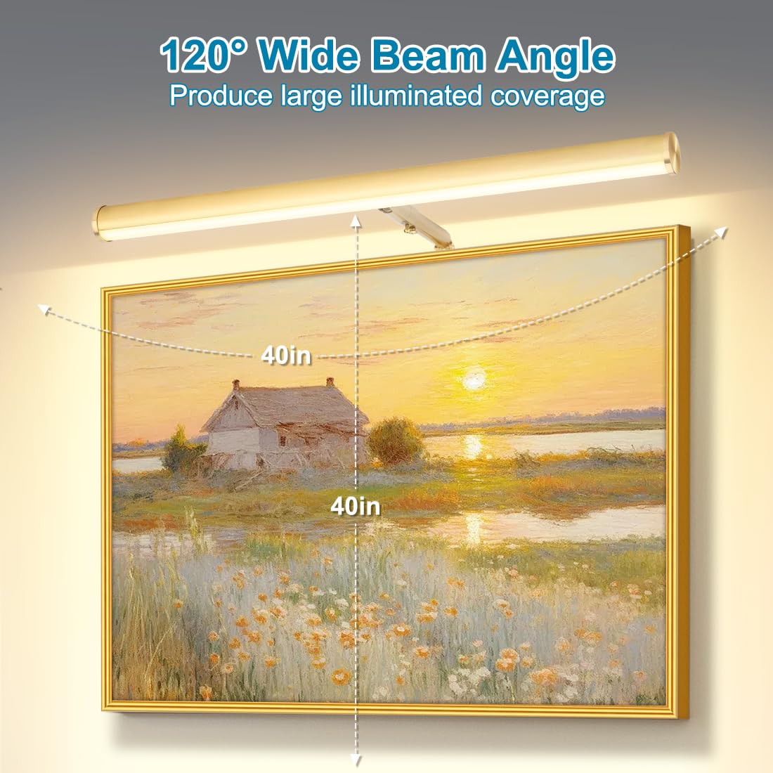Xbuyee Led Picture Lights For Paintings Plug In, Adjustable Art Light Gallery Wall Light For Display Art Work, 16Inch 6W 3000K W