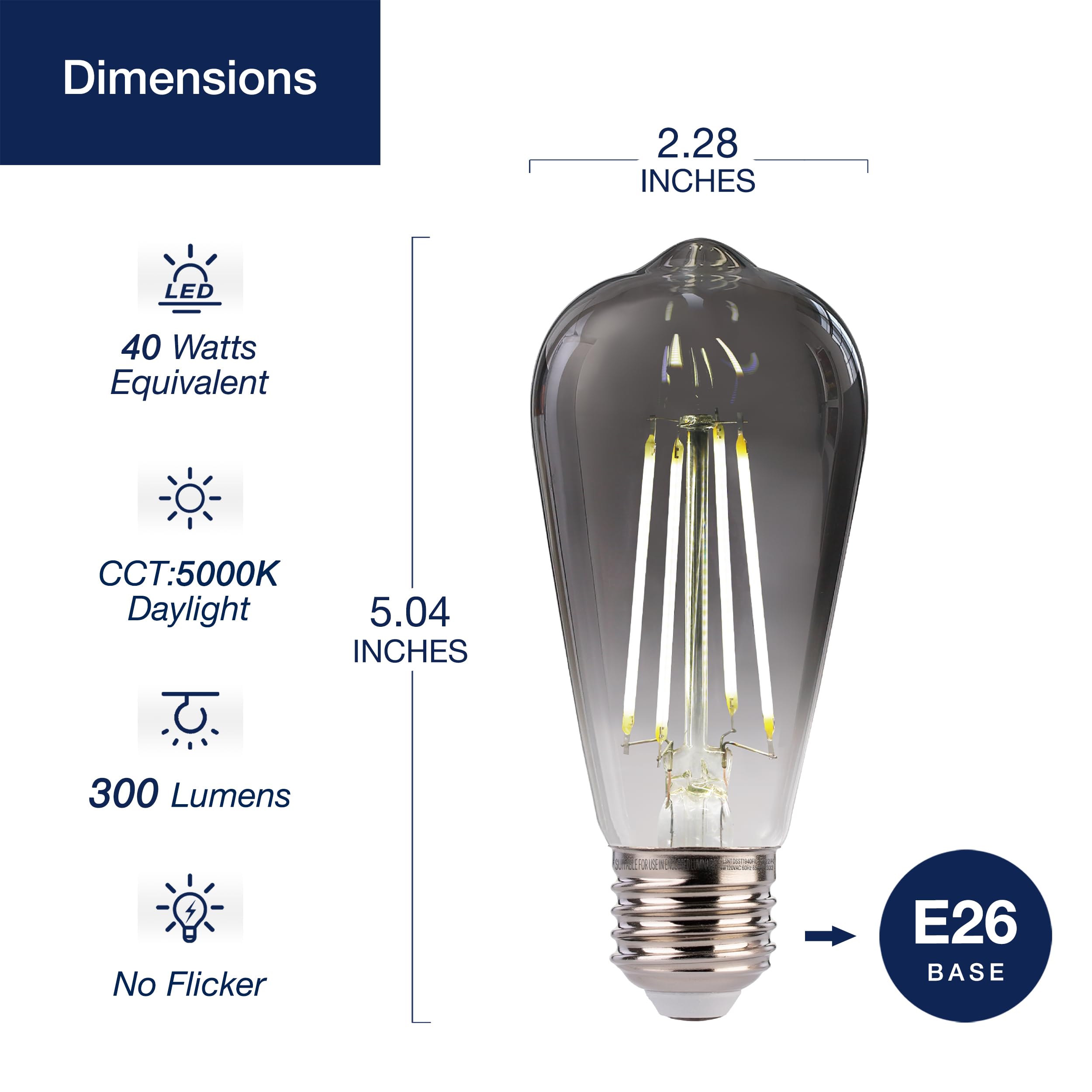 FLSNT ST19 LED Edison Bulbs, 4W (40W Equivalent), Dimmable, 150LM, 5000K White Light, Smoky Grey Glass, 6 Pack