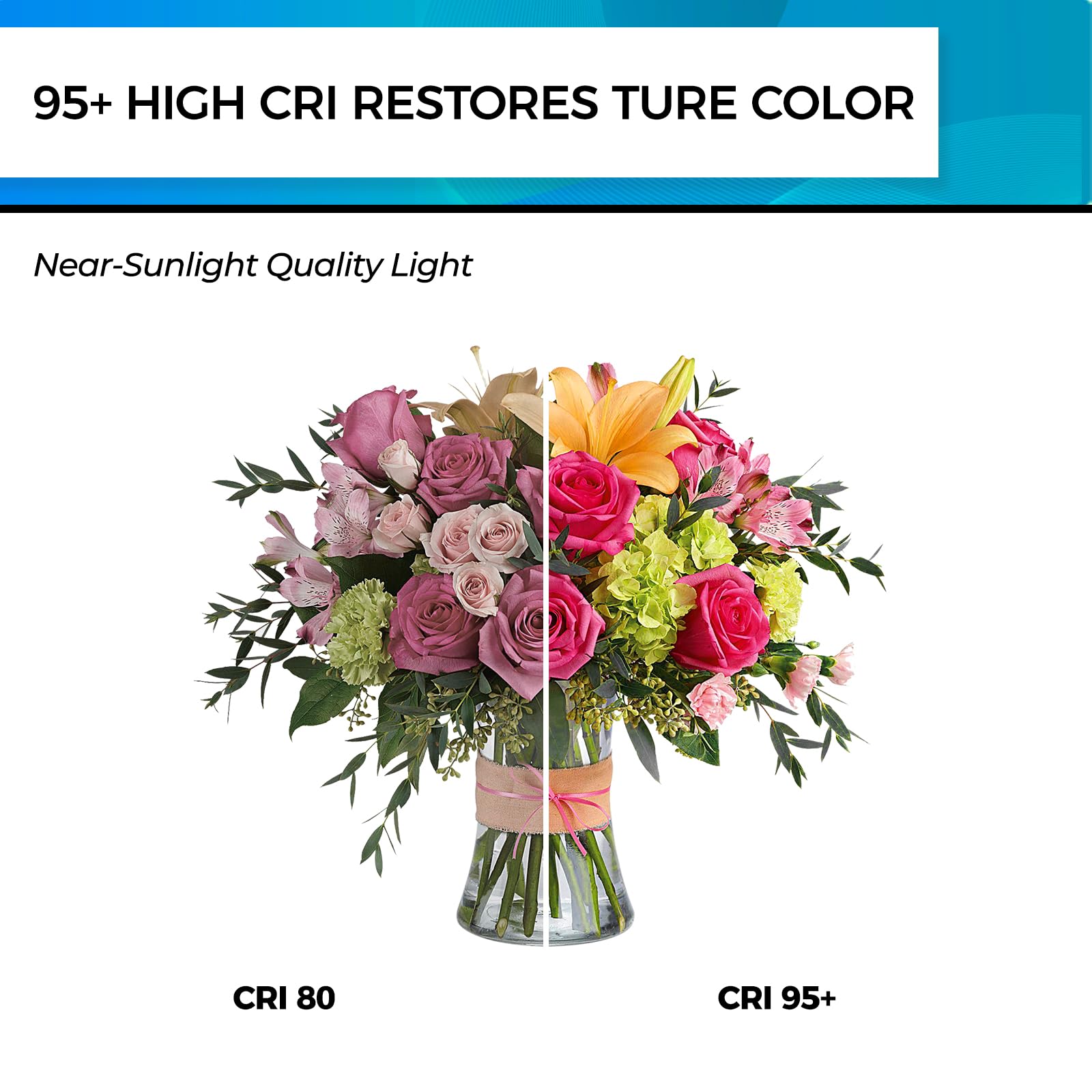 Hizashi Vintage Led Edison Bulb Dimmable, 6W Equivalent 60W, 5000K Daylight, E26 Base Led Light Bulbs, 700Lm, High Cri 95+ Eye Protection, Clear Glass, Pack Of 12